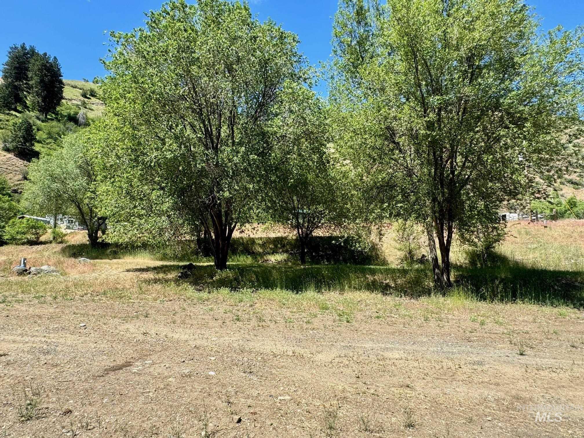 115 Helm Lane, Pollock, Idaho 83547, Land For Sale, Price $325,000,MLS 98979868