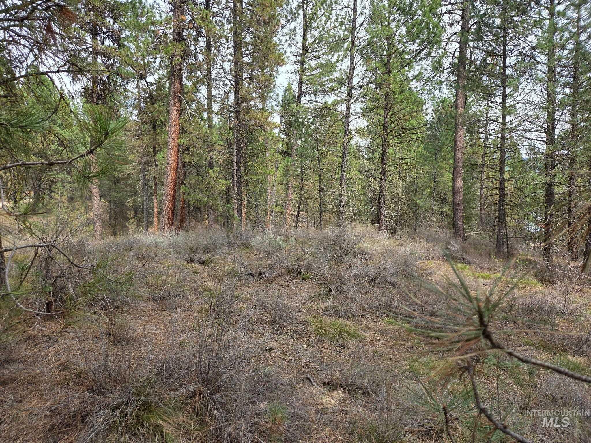 Lot 31 S Meadow Creek, Centerville, Idaho 83631, Land For Sale, Price $149,000,MLS 98979878
