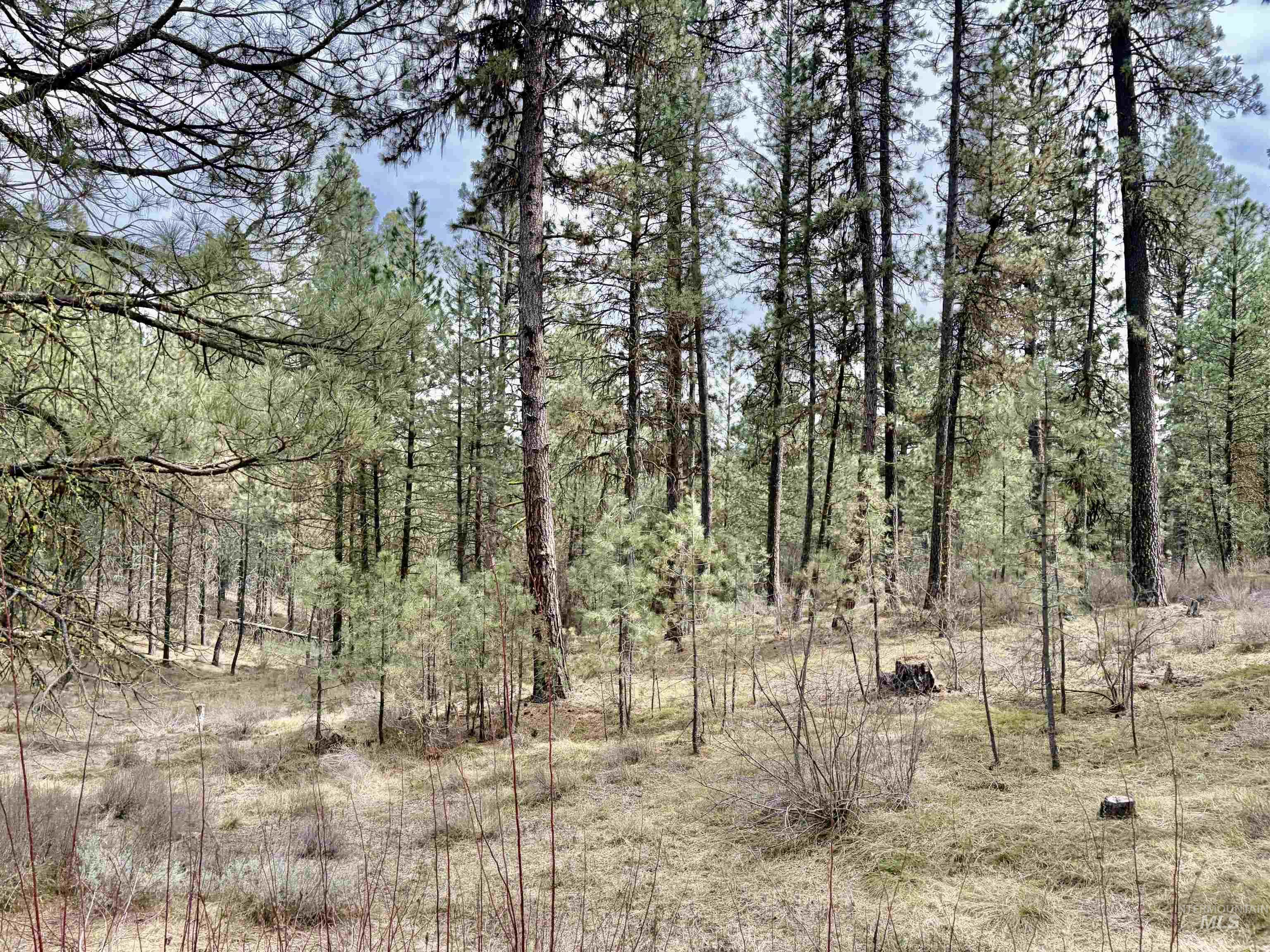 Lot 31 S Meadow Creek, Centerville, Idaho 83631, Land For Sale, Price $149,000,MLS 98979878