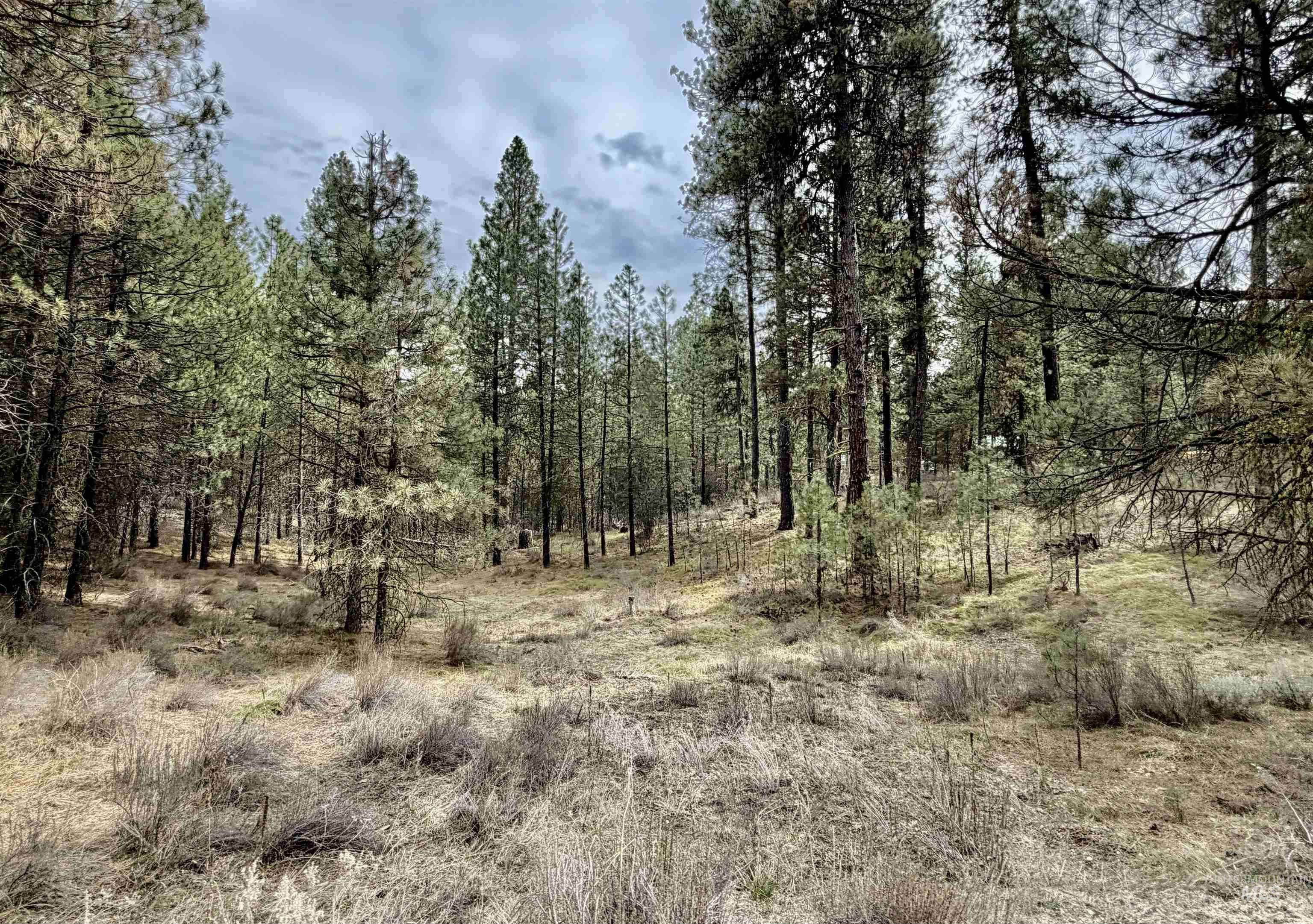 Lot 31 S Meadow Creek, Centerville, Idaho 83631, Land For Sale, Price $149,000,MLS 98979878