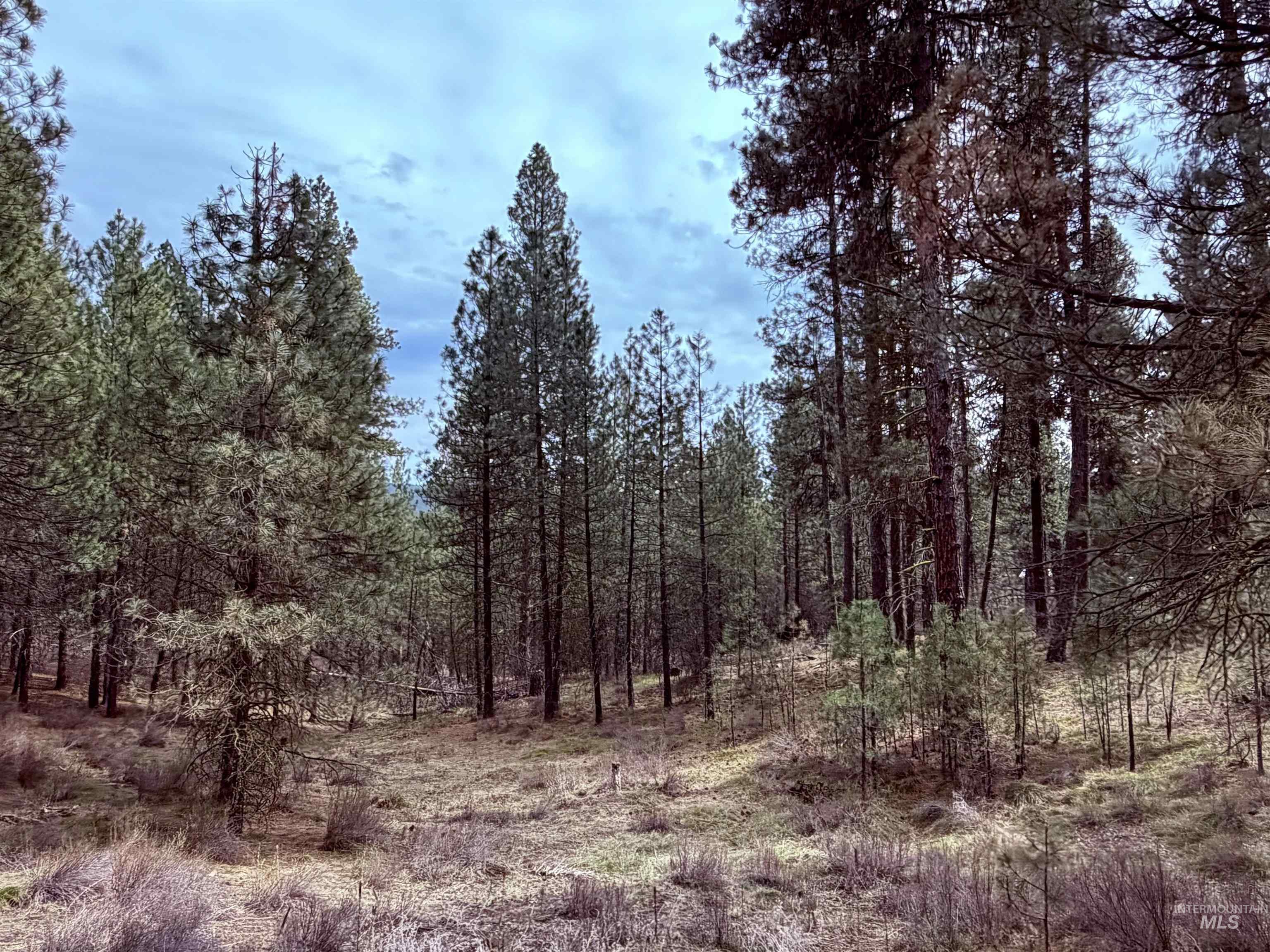 Lot 31 S Meadow Creek, Centerville, Idaho 83631, Land For Sale, Price $149,000,MLS 98979878