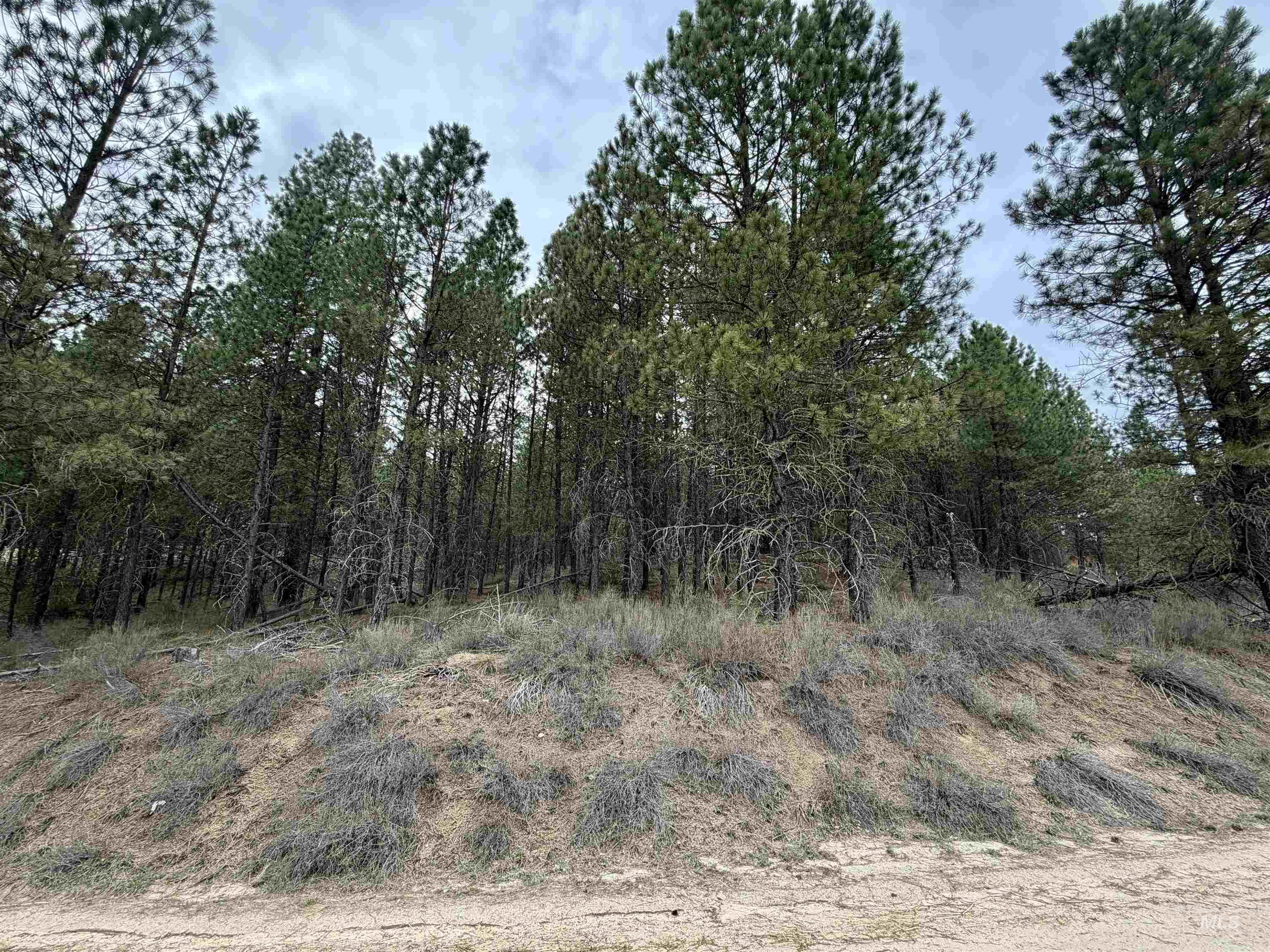 Lot 31 S Meadow Creek, Centerville, Idaho 83631, Land For Sale, Price $149,000,MLS 98979878
