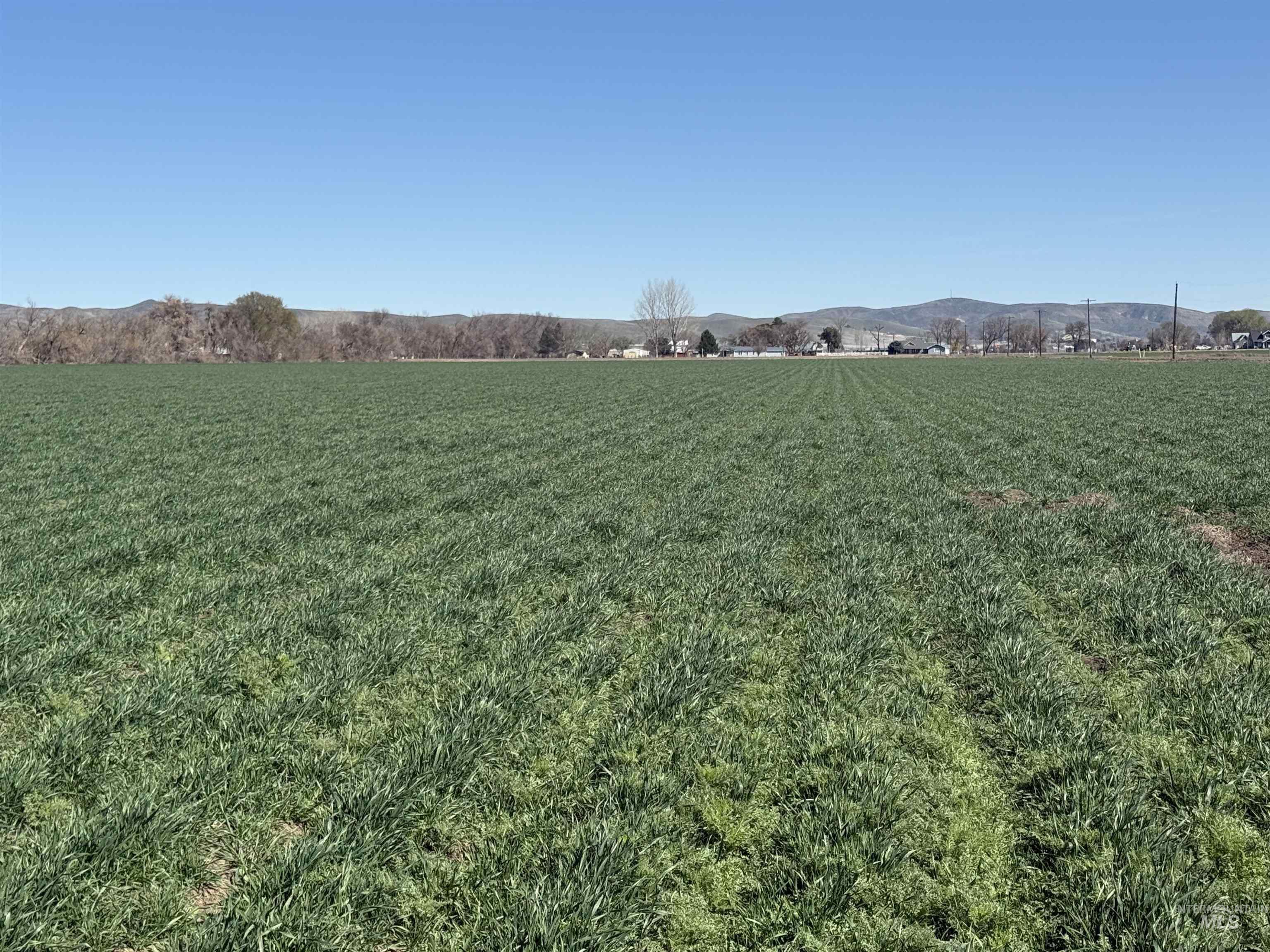 TBD Ferrel, Weiser, Idaho 83672, Land For Sale, Price $217,000,MLS 98979881