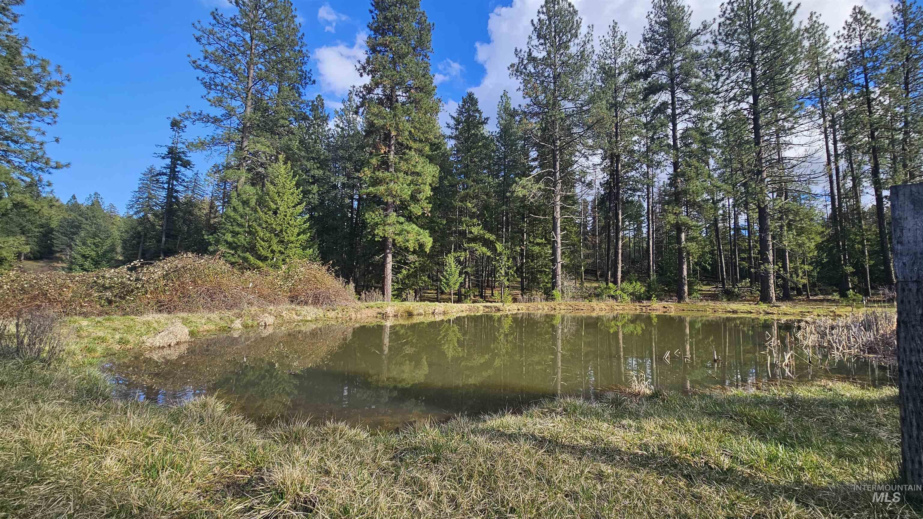 1080 Mason Butte Rd, Kendrick, Idaho 83537, 3 Bedrooms, 2 Bathrooms, Residential For Sale, Price $700,000, 98979916