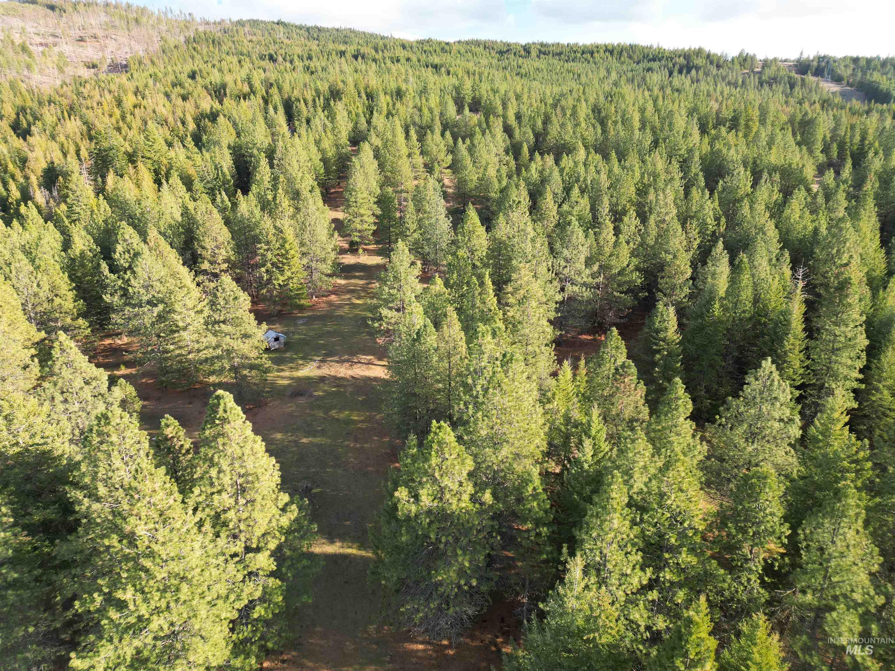 1080 Mason Butte Rd, Kendrick, Idaho 83537, 3 Bedrooms, 2 Bathrooms, Residential For Sale, Price $700,000, 98979916