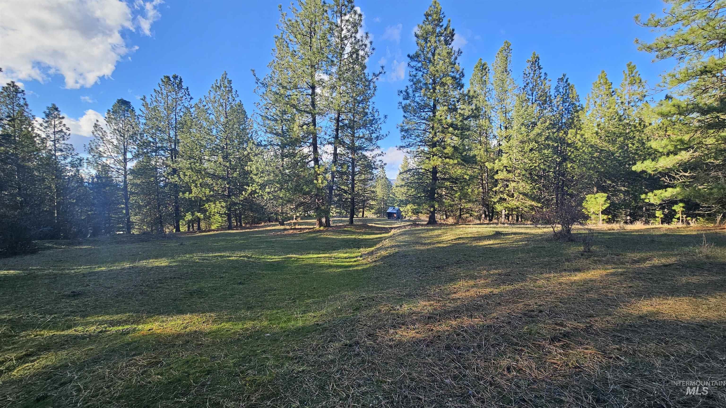 1080 Mason Butte Rd, Kendrick, Idaho 83537, 3 Bedrooms, 2 Bathrooms, Residential For Sale, Price $700,000, 98979916