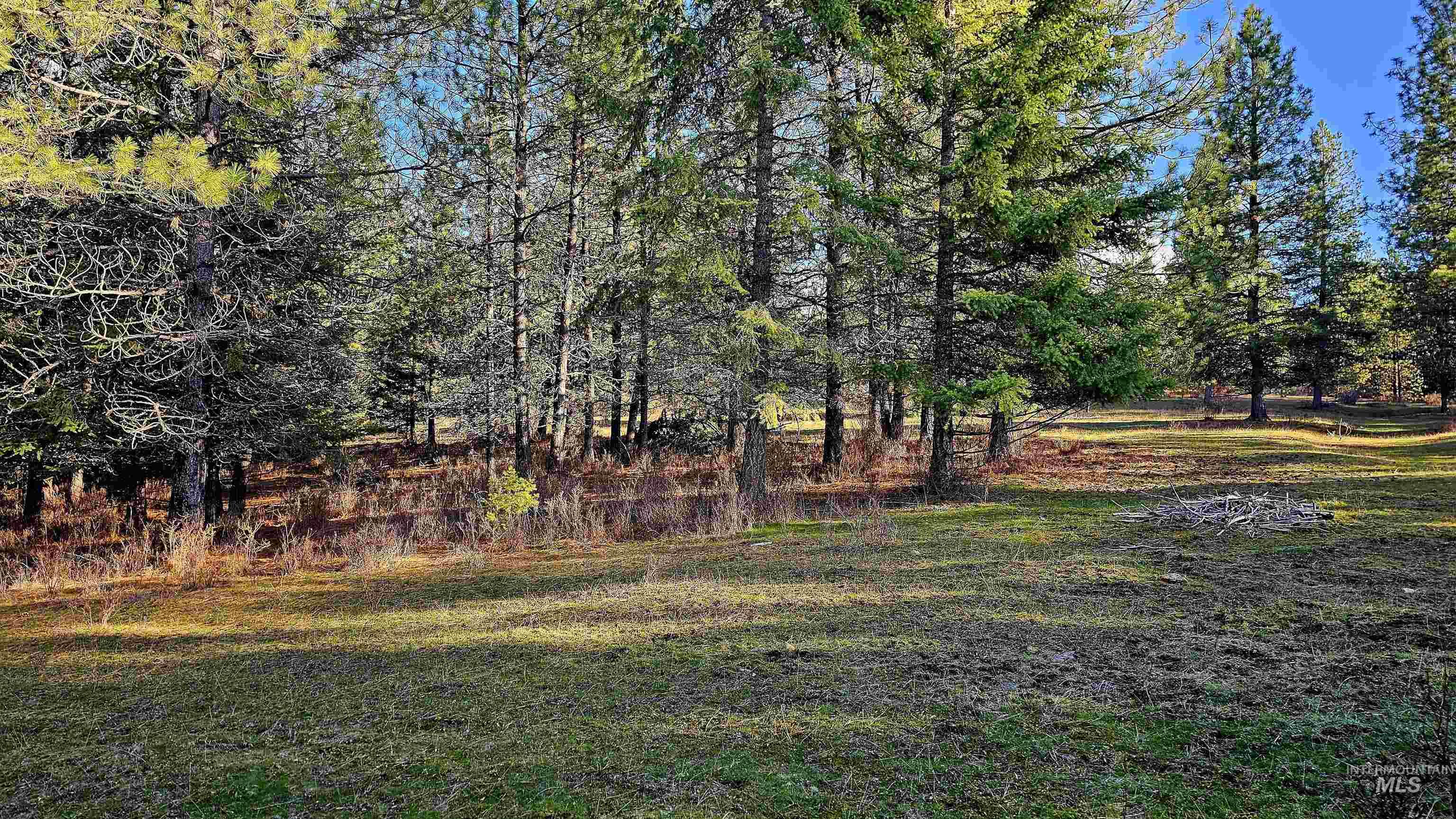 1080 Mason Butte Rd, Kendrick, Idaho 83537, 3 Bedrooms, 2 Bathrooms, Residential For Sale, Price $700,000, 98979916