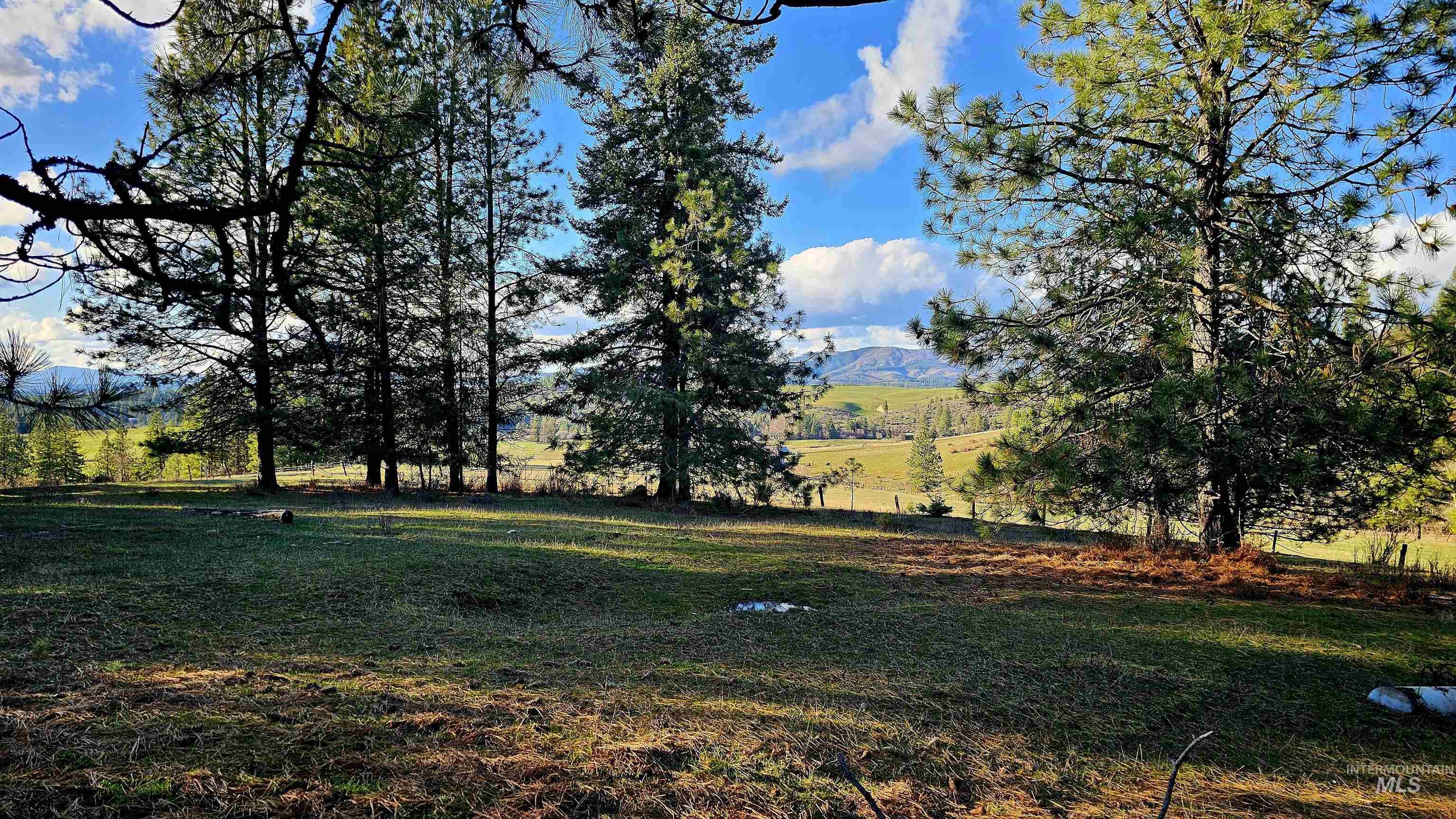 1080 Mason Butte Rd, Kendrick, Idaho 83537, 3 Bedrooms, 2 Bathrooms, Residential For Sale, Price $700,000, 98979916