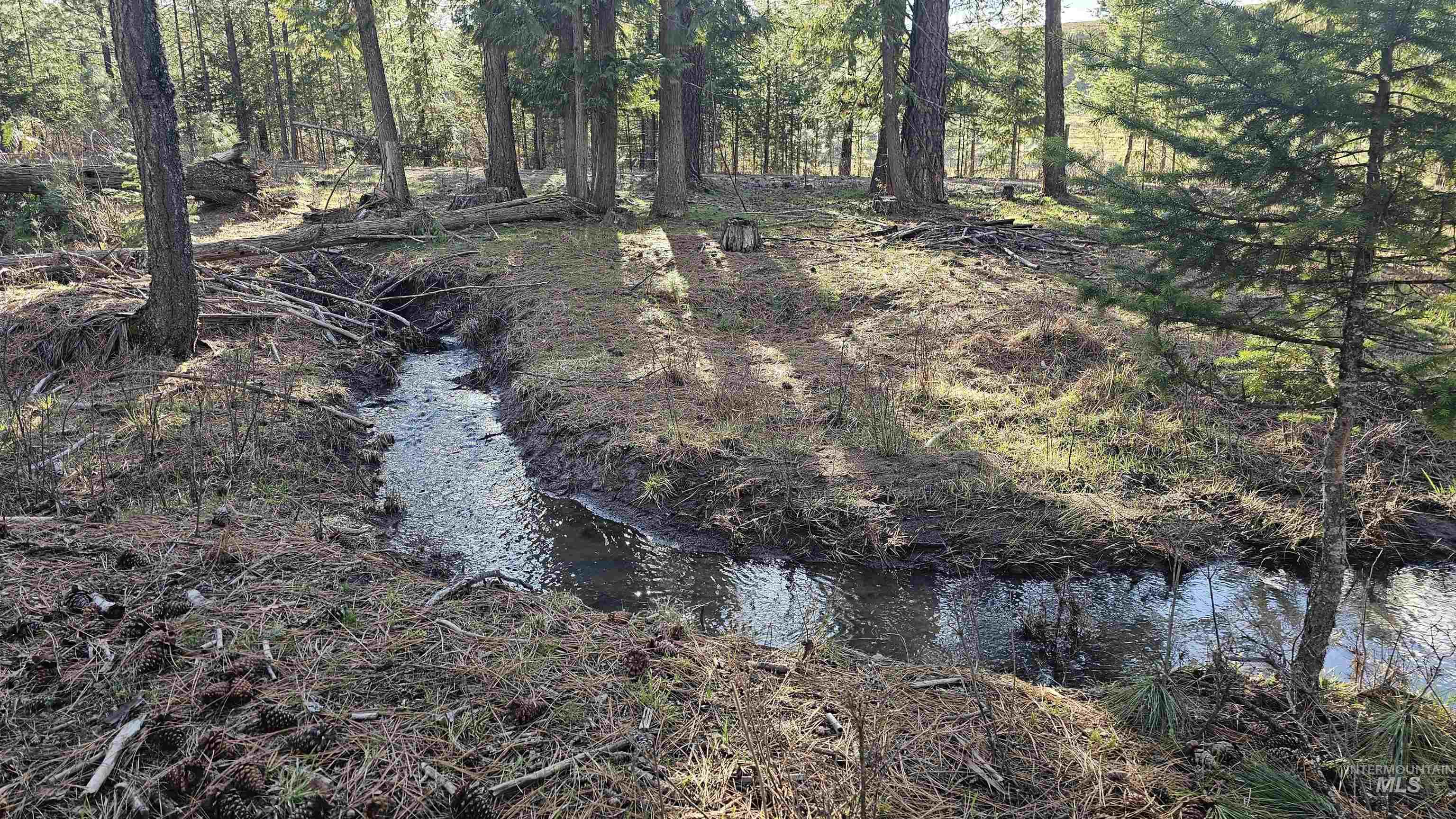 1080 Mason Butte Rd, Kendrick, Idaho 83537, 3 Bedrooms, 2 Bathrooms, Residential For Sale, Price $700,000, 98979916