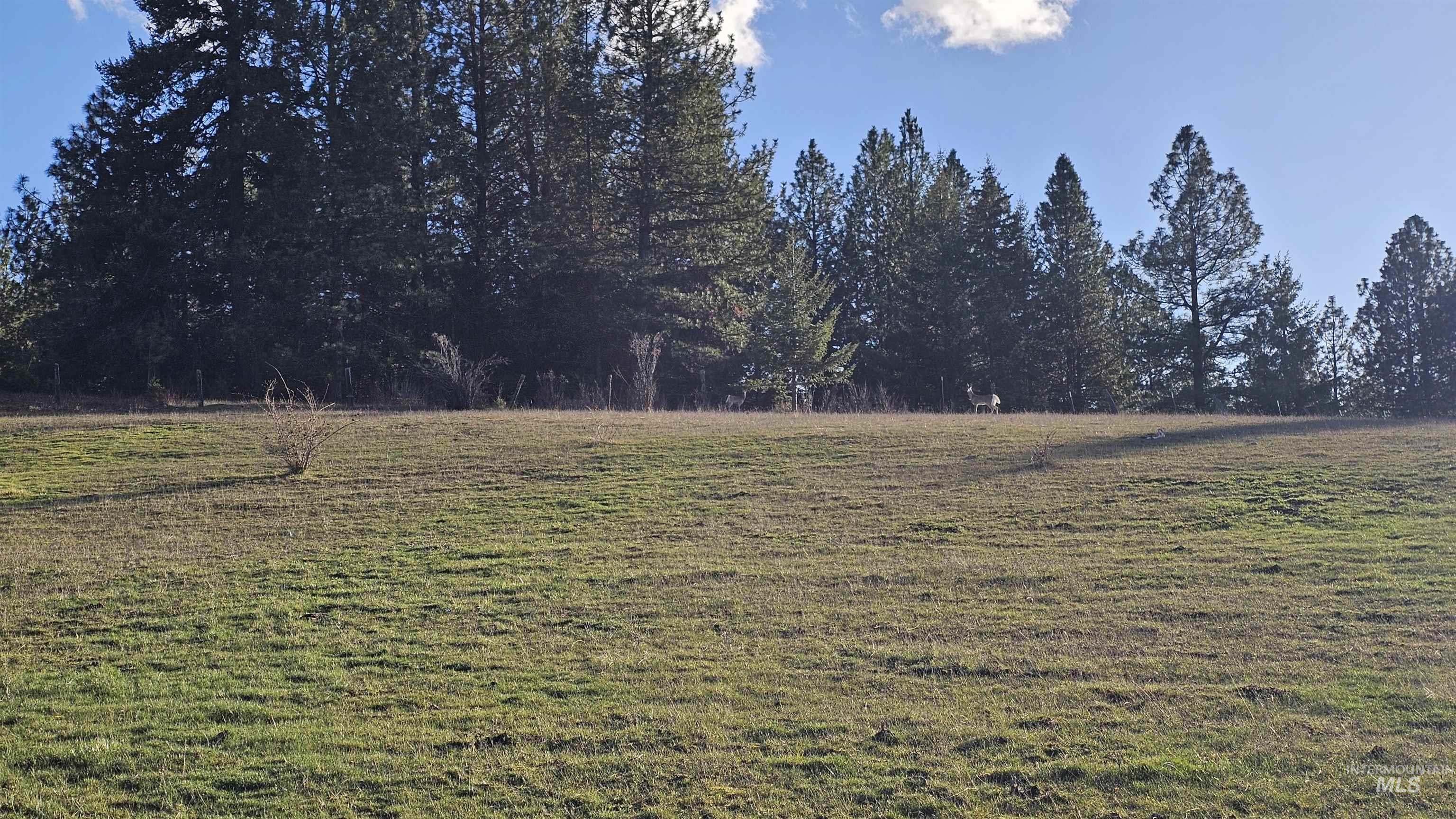 1080 Mason Butte Rd, Kendrick, Idaho 83537, 3 Bedrooms, 2 Bathrooms, Residential For Sale, Price $700,000, 98979916