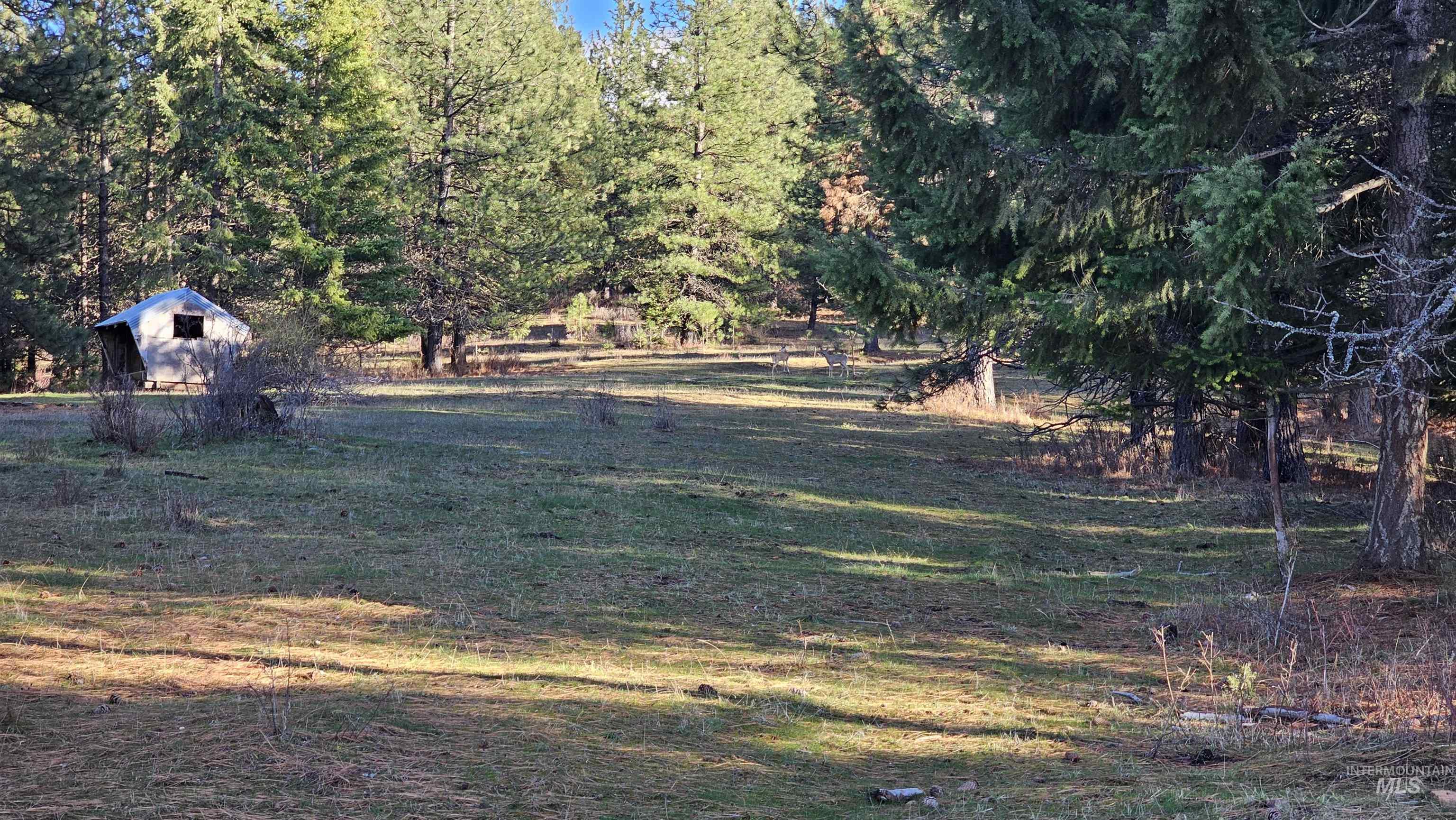 1080 Mason Butte Rd, Kendrick, Idaho 83537, 3 Bedrooms, 2 Bathrooms, Residential For Sale, Price $700,000, 98979916