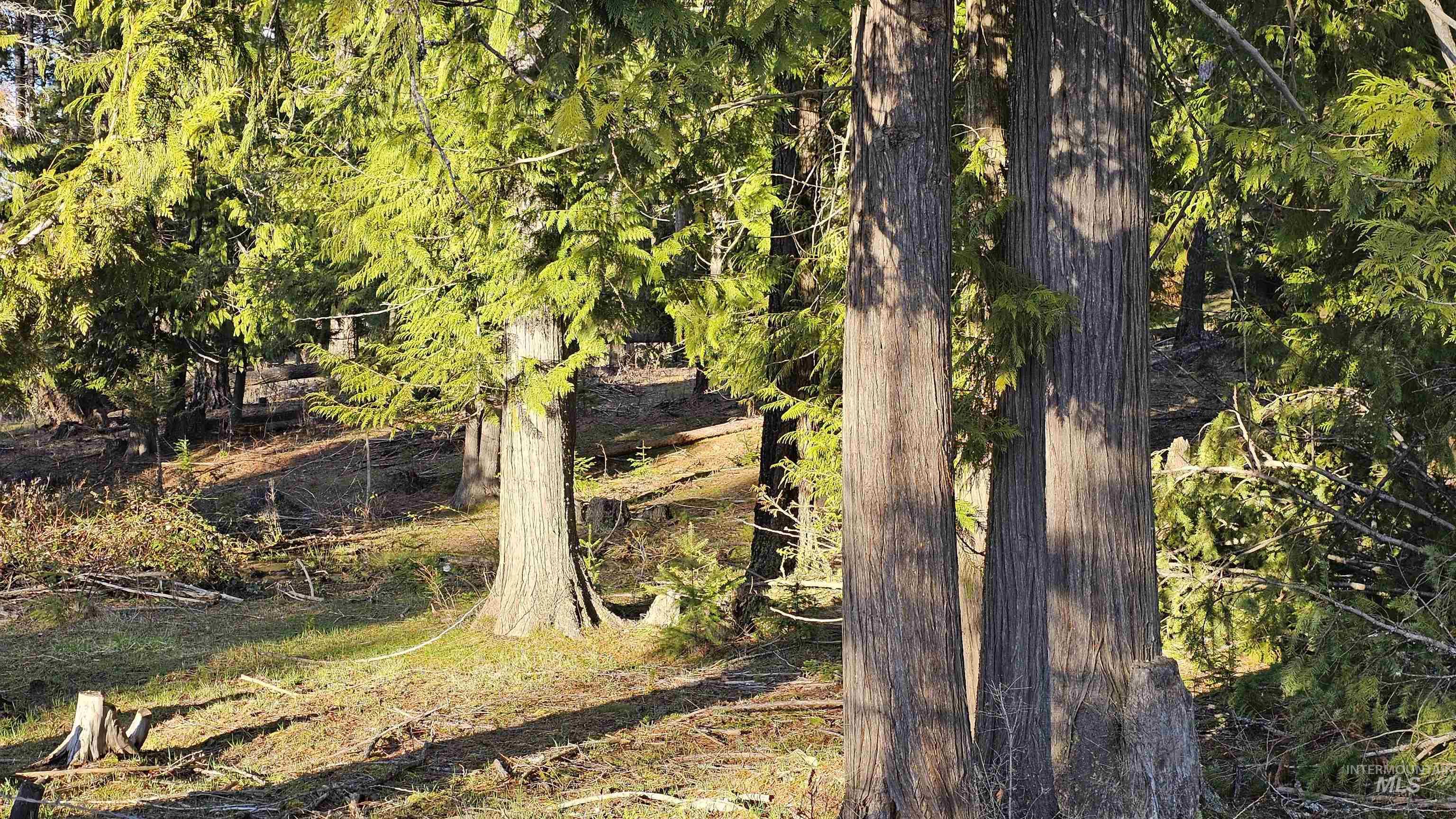 1080 Mason Butte Rd, Kendrick, Idaho 83537, 3 Bedrooms, 2 Bathrooms, Residential For Sale, Price $700,000, 98979916