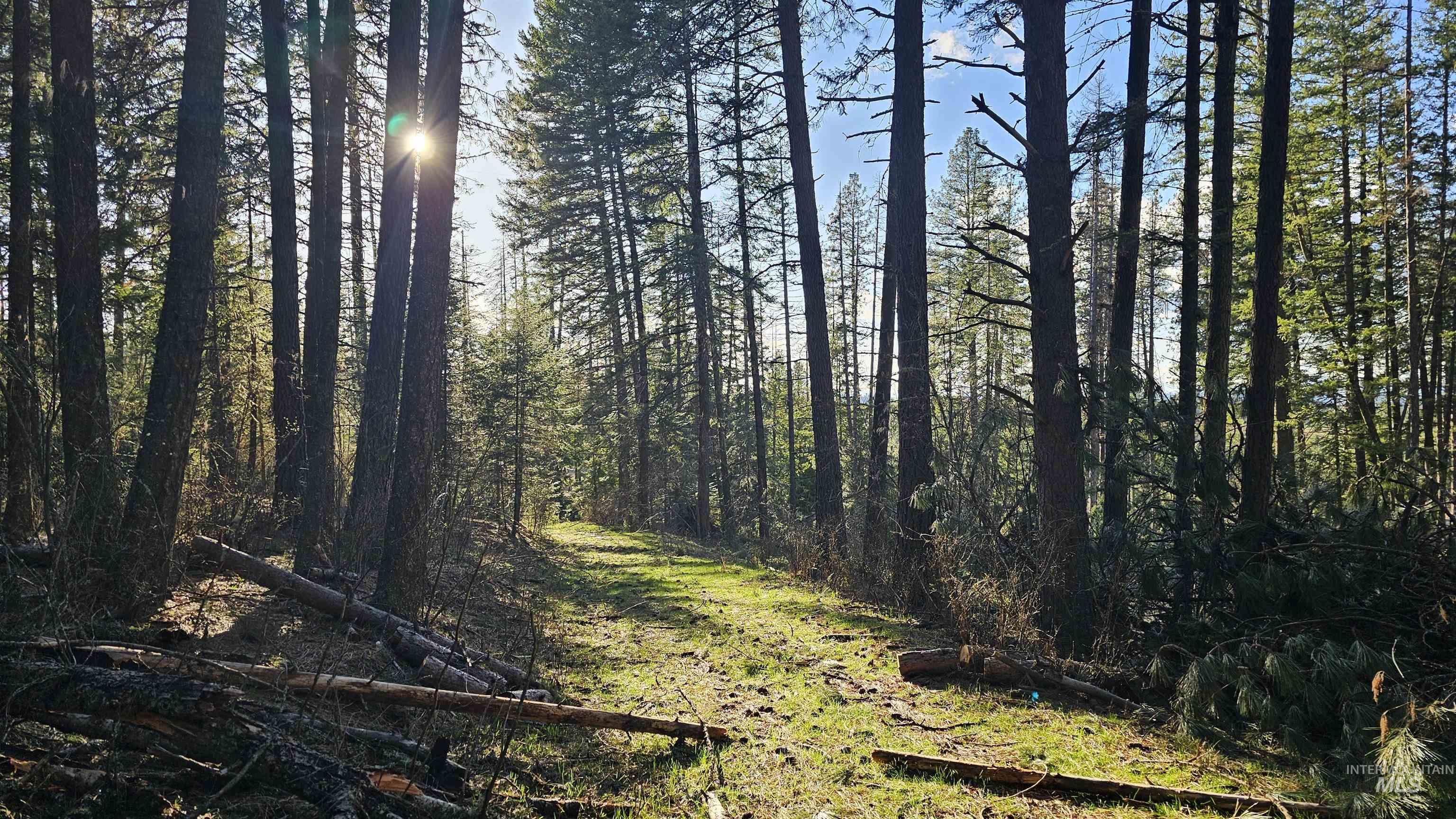 1080 Mason Butte Rd, Kendrick, Idaho 83537, 3 Bedrooms, 2 Bathrooms, Residential For Sale, Price $700,000, 98979916