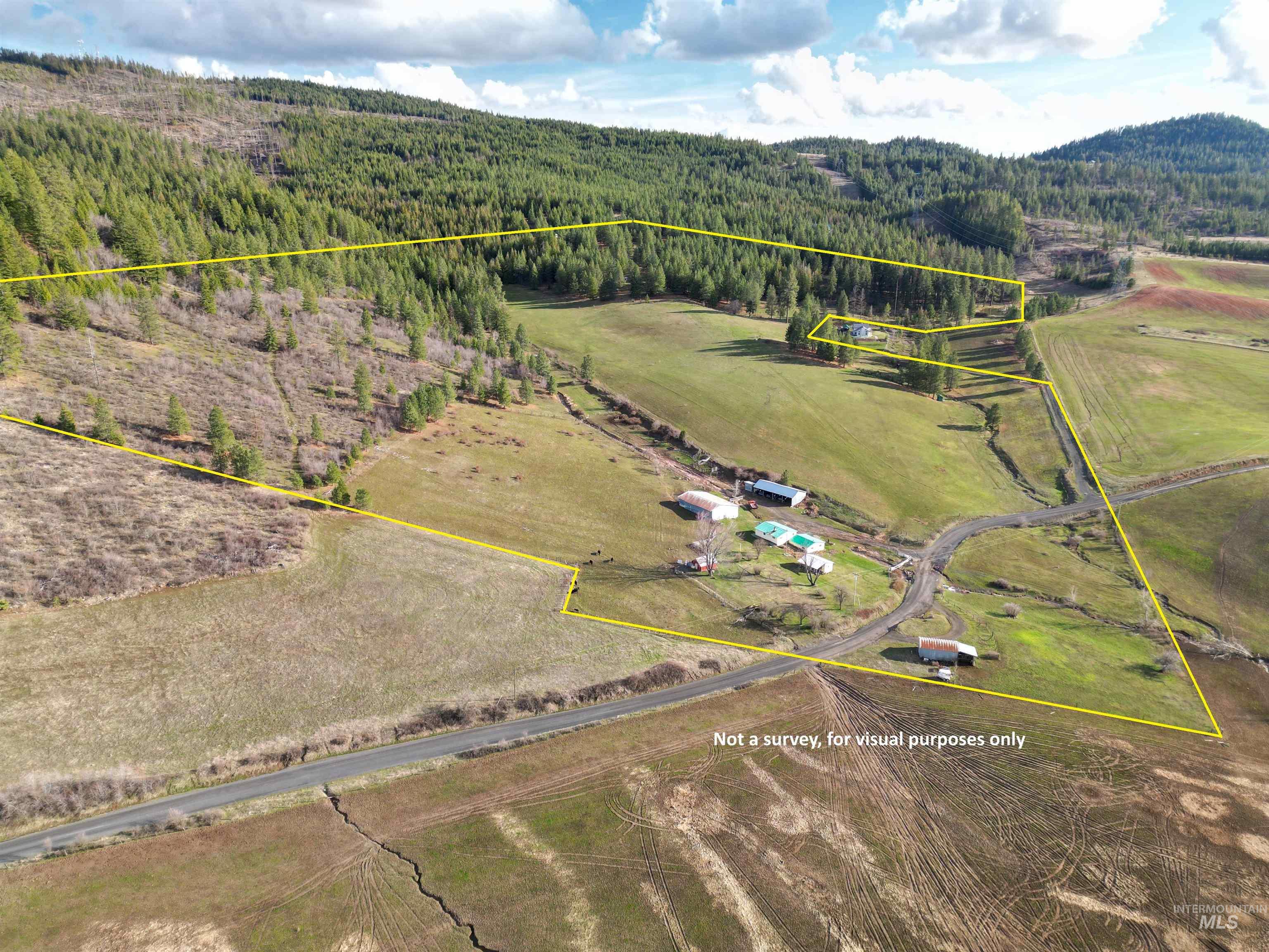 1080 Mason Butte Rd, Kendrick, Idaho 83537, 3 Bedrooms, 2 Bathrooms, Residential For Sale, Price $700,000, 98979916