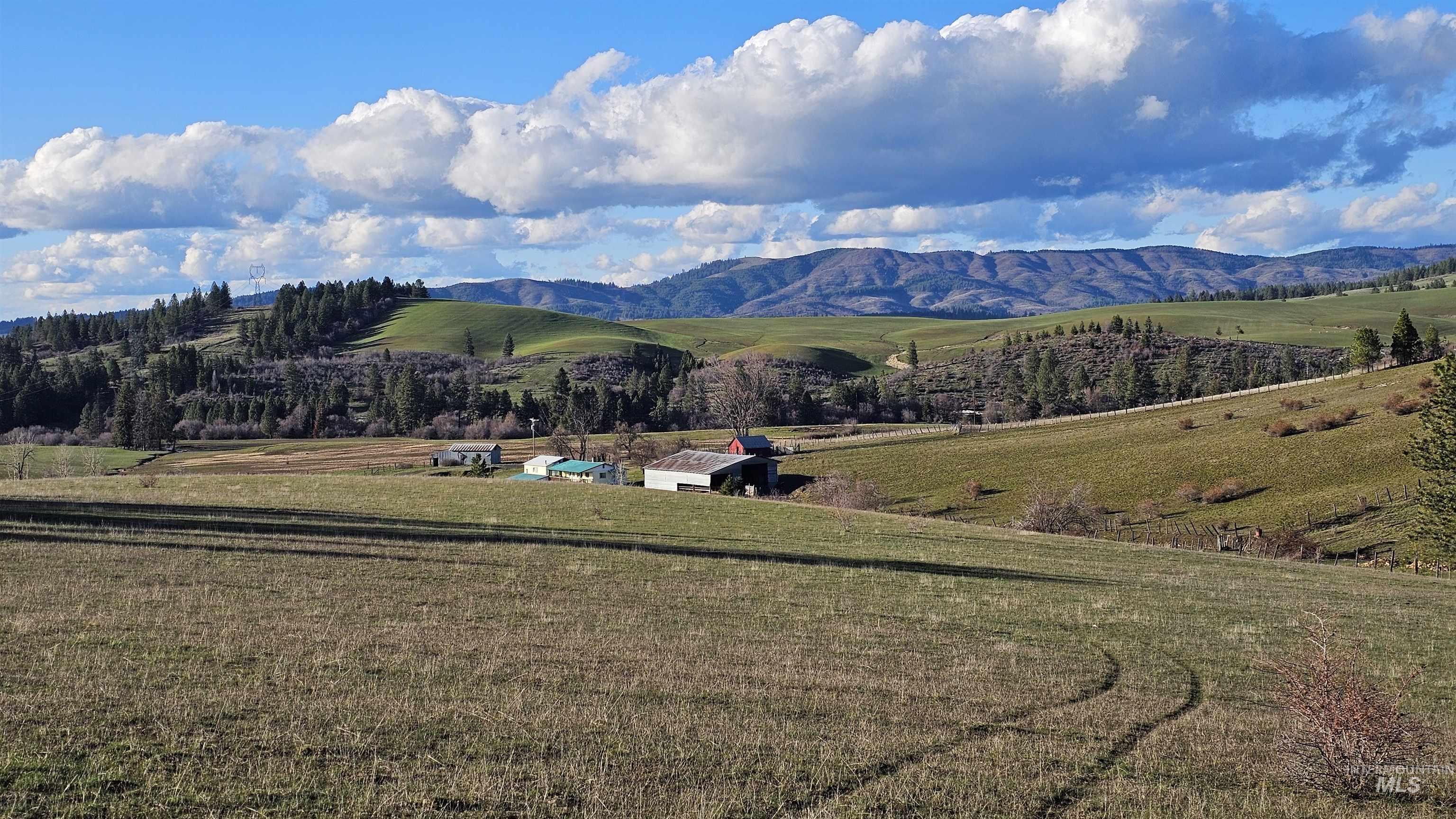 1080 Mason Butte Rd, Kendrick, Idaho 83537, 3 Bedrooms, 2 Bathrooms, Residential For Sale, Price $700,000, 98979916