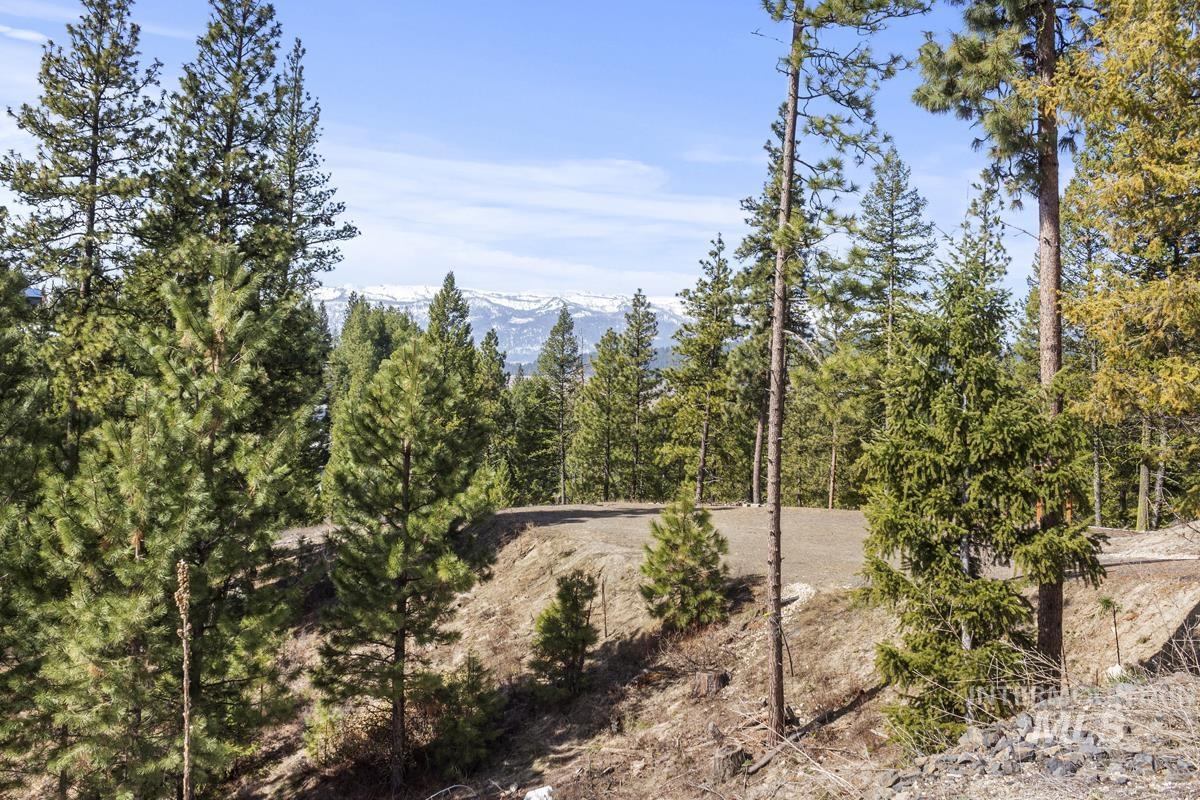 17 Tito Trail, Cascade, Idaho 83611, Land For Sale, Price $200,000,MLS 98979933
