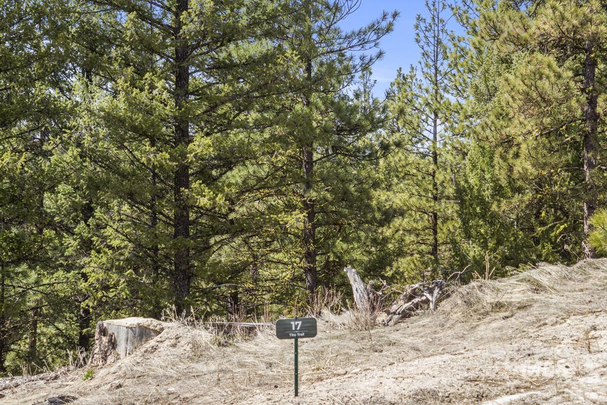 17 Tito Trail, Cascade, Idaho 83611, Land For Sale, Price $200,000,MLS 98979933