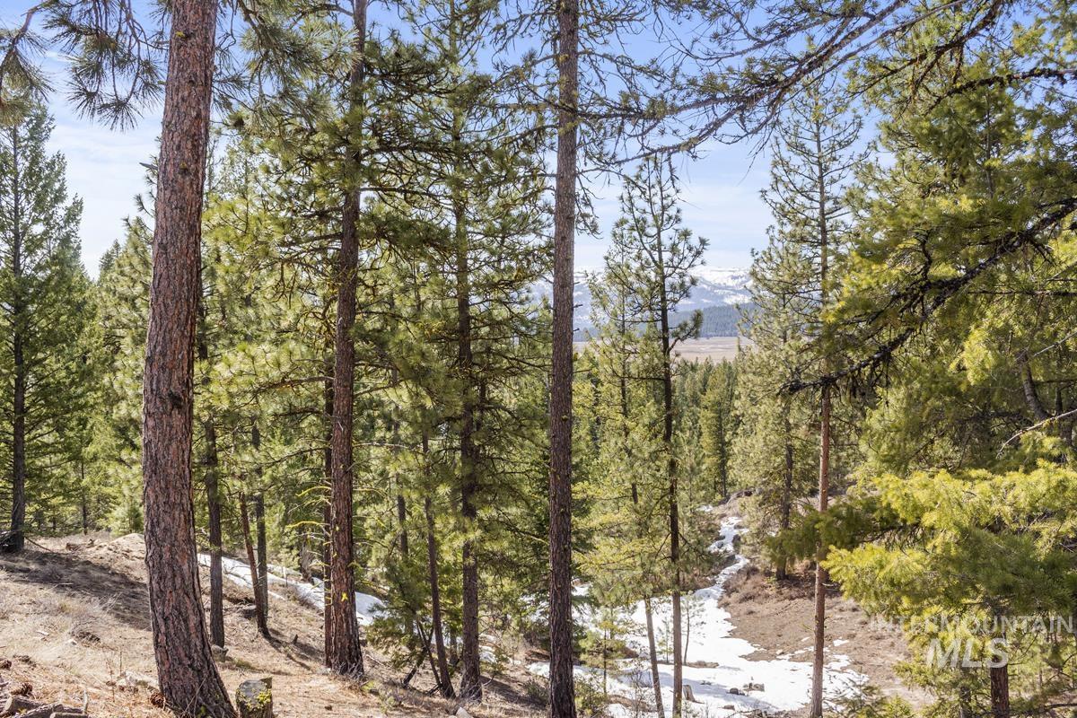17 Tito Trail, Cascade, Idaho 83611, Land For Sale, Price $200,000,MLS 98979933