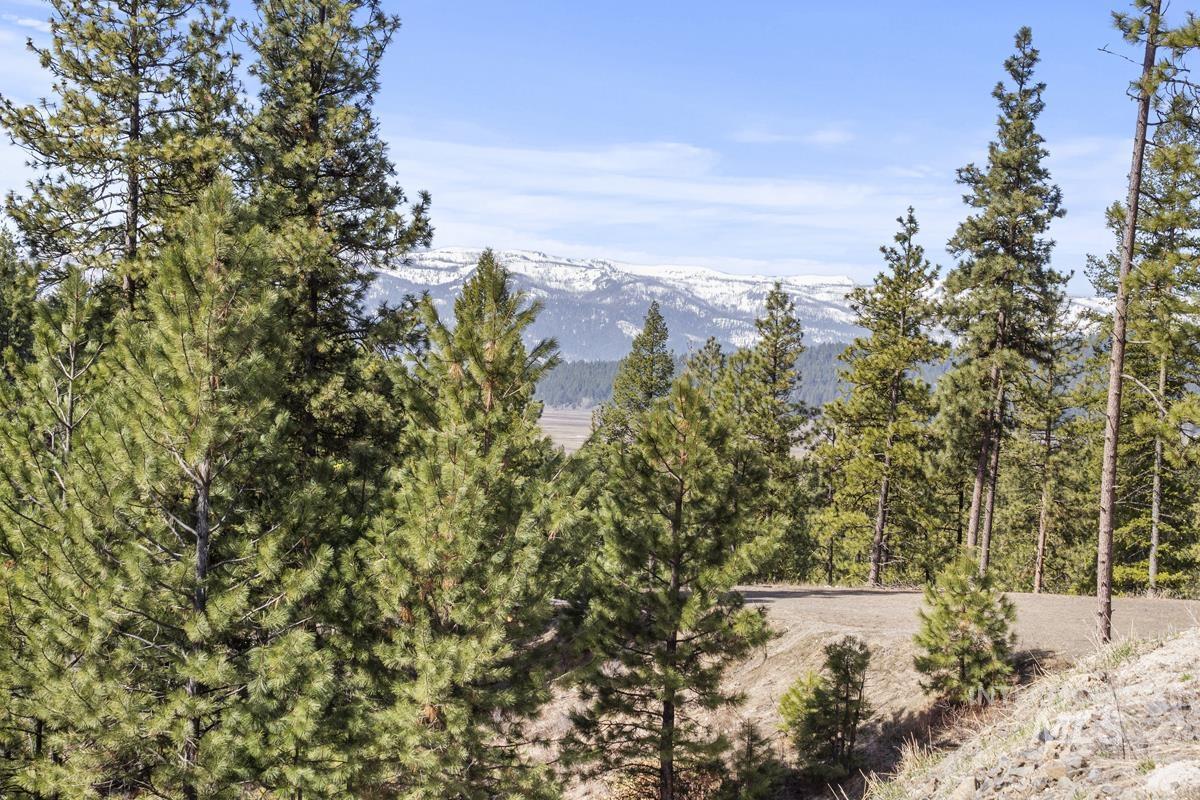 17 Tito Trail, Cascade, Idaho 83611, Land For Sale, Price $200,000,MLS 98979933