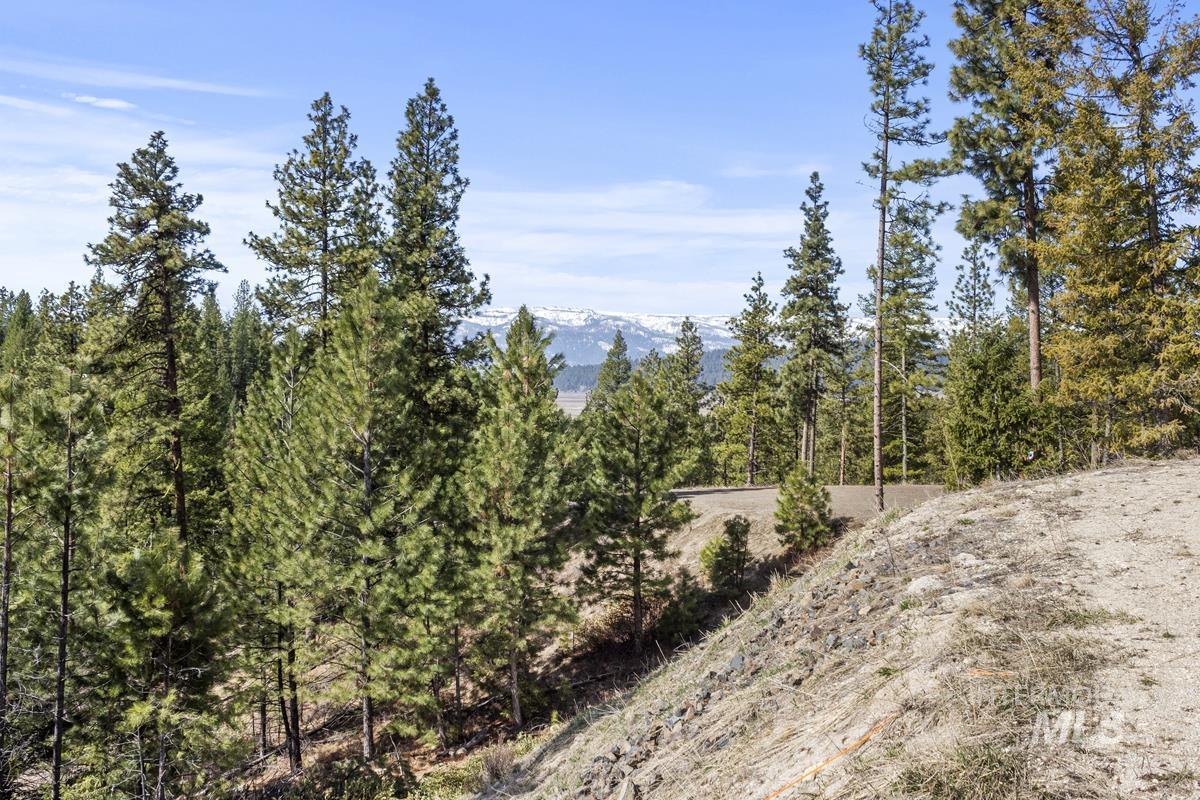 17 Tito Trail, Cascade, Idaho 83611, Land For Sale, Price $200,000,MLS 98979933