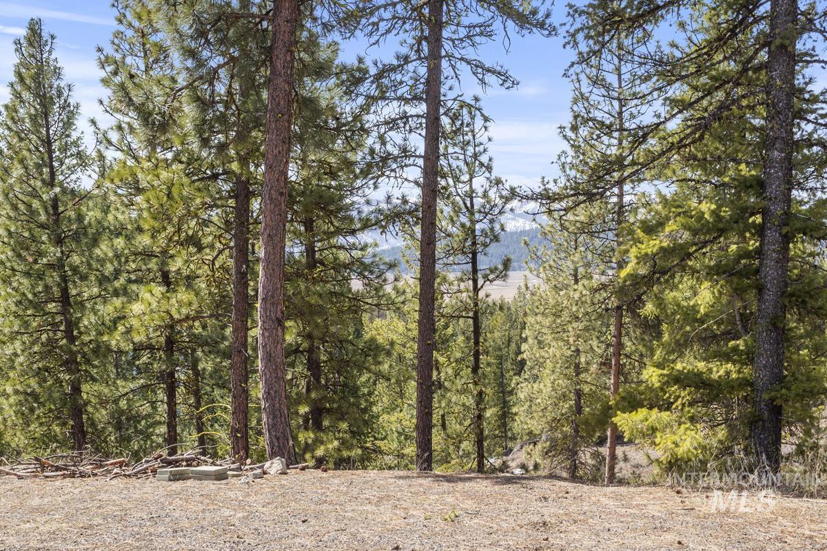 17 Tito Trail, Cascade, Idaho 83611, Land For Sale, Price $200,000,MLS 98979933