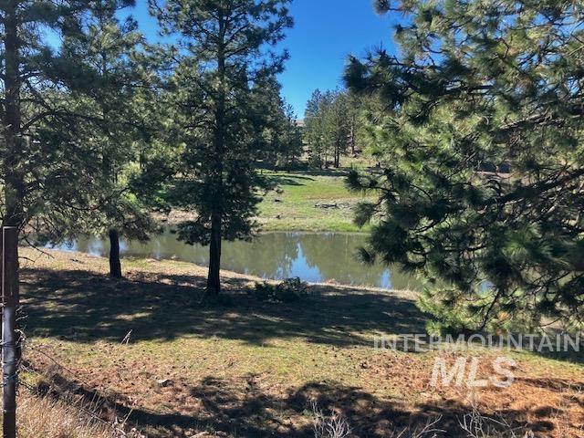 2891 Peola Road, Pomeroy, Washington 99347, 3 Bedrooms, 2 Bathrooms, Residential For Sale, Price $650,000, 98979954