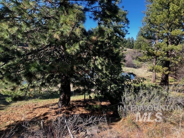 2891 Peola Road, Pomeroy, Washington 99347, 3 Bedrooms, 2 Bathrooms, Residential For Sale, Price $650,000, 98979954