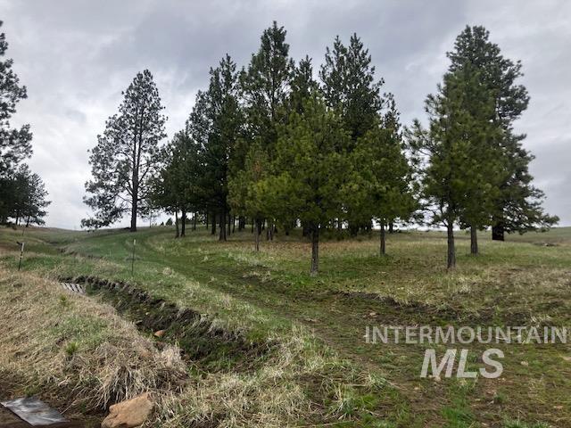 2891 Peola Road, Pomeroy, Washington 99347, 3 Bedrooms, 2 Bathrooms, Residential For Sale, Price $650,000, 98979954