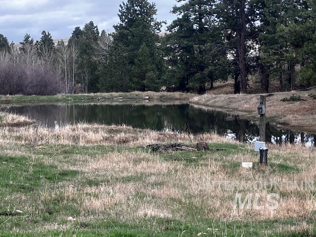 2891 Peola Road, Pomeroy, Washington 99347, 3 Bedrooms, 2 Bathrooms, Residential For Sale, Price $650,000, 98979954