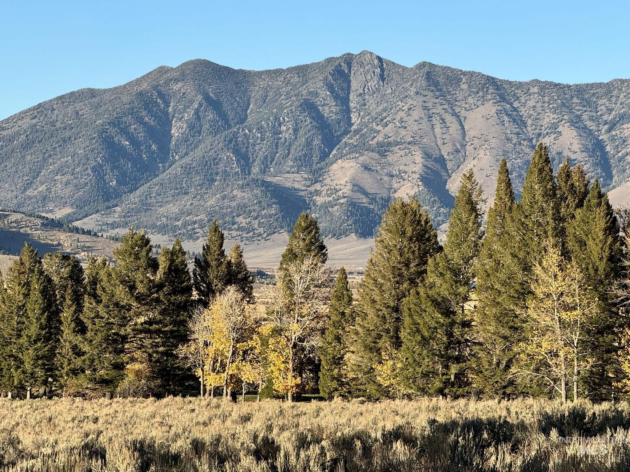 3600 W Red Rock Pass Rd, Island Park, Idaho 83429, Land For Sale, Price $9,750,000, 98979957