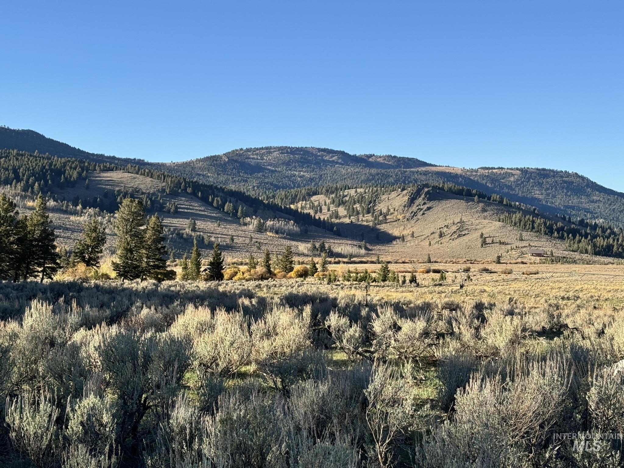 3600 W Red Rock Pass Rd, Island Park, Idaho 83429, Land For Sale, Price $9,750,000, 98979957