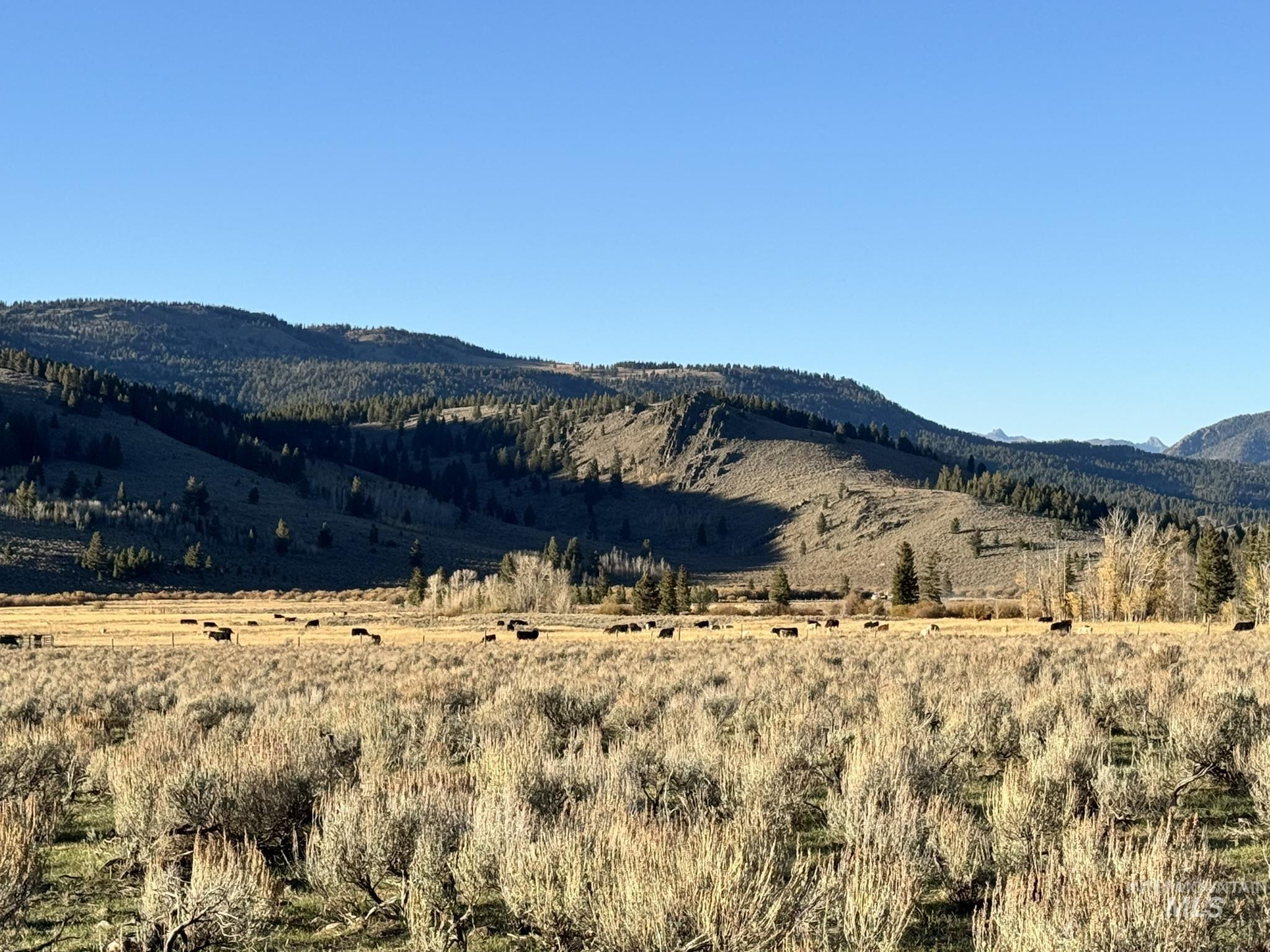 3600 W Red Rock Pass Rd, Island Park, Idaho 83429, Land For Sale, Price $9,750,000, 98979957