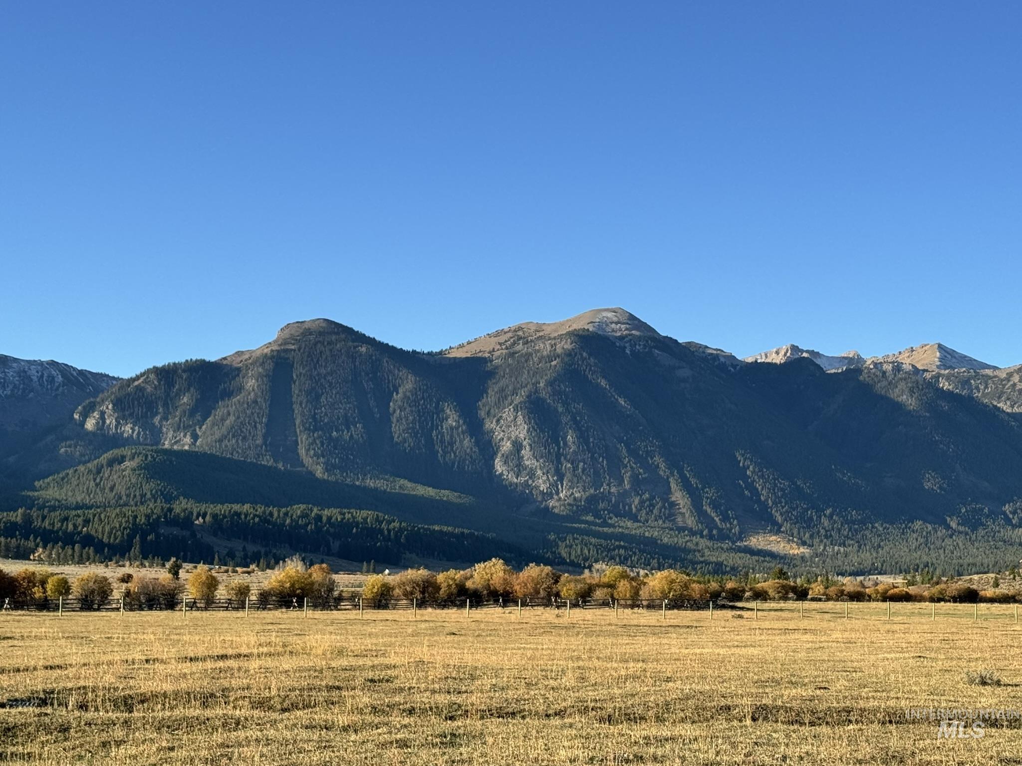 3600 W Red Rock Pass Rd, Island Park, Idaho 83429, Land For Sale, Price $9,750,000, 98979957