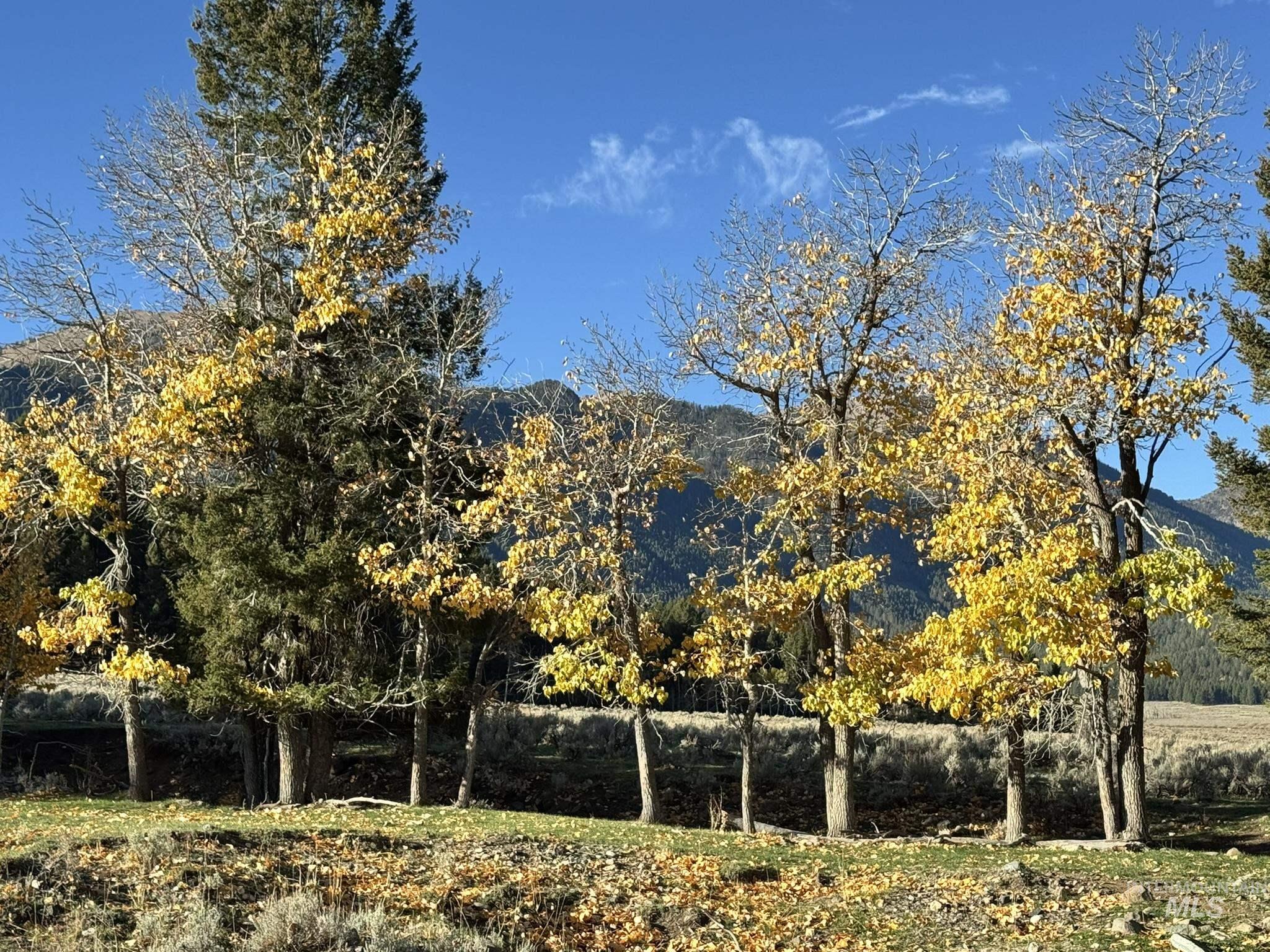 3600 W Red Rock Pass Rd, Island Park, Idaho 83429, Land For Sale, Price $9,750,000, 98979957