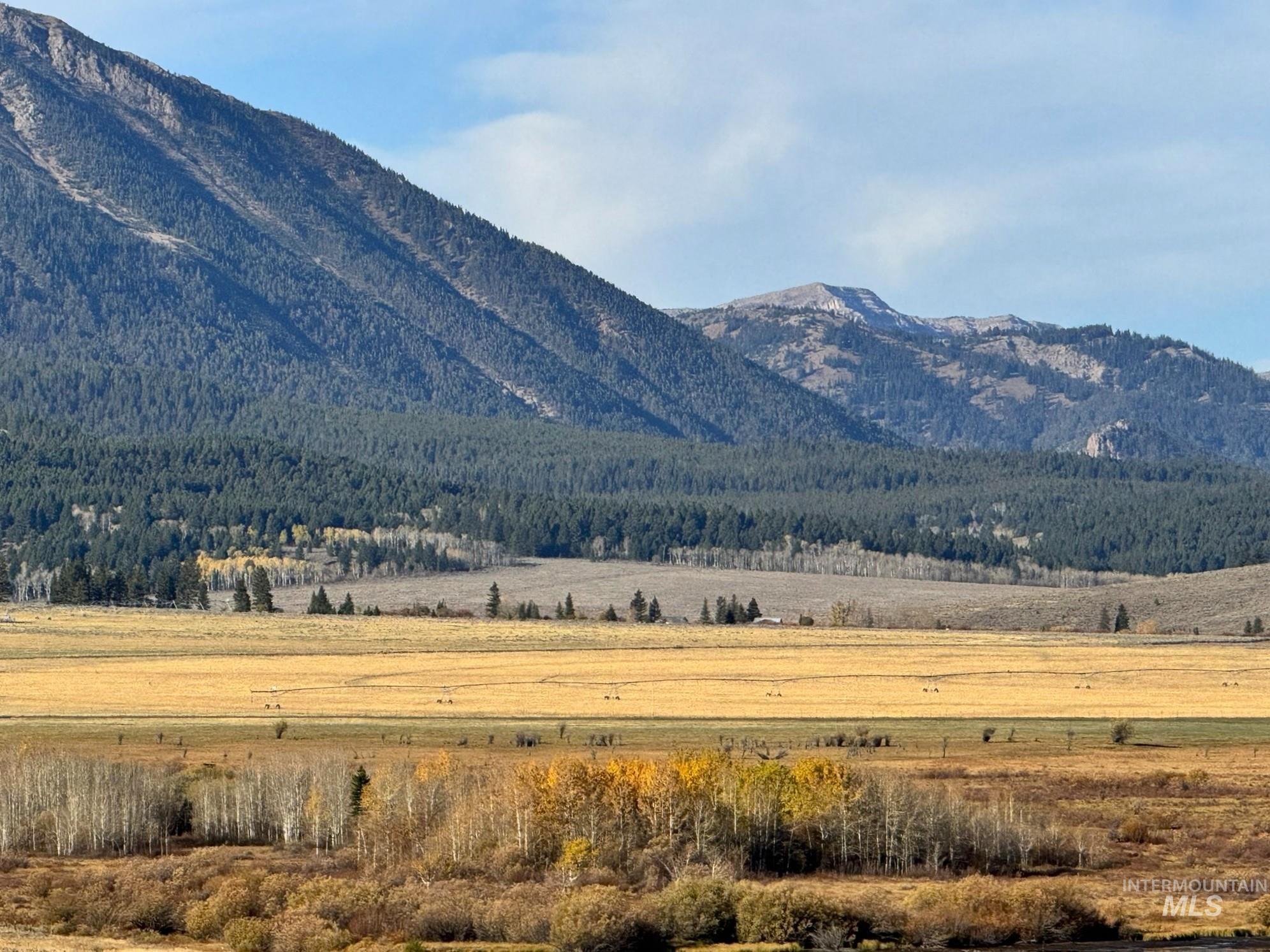 3600 W Red Rock Pass Rd, Island Park, Idaho 83429, Land For Sale, Price $9,750,000, 98979957