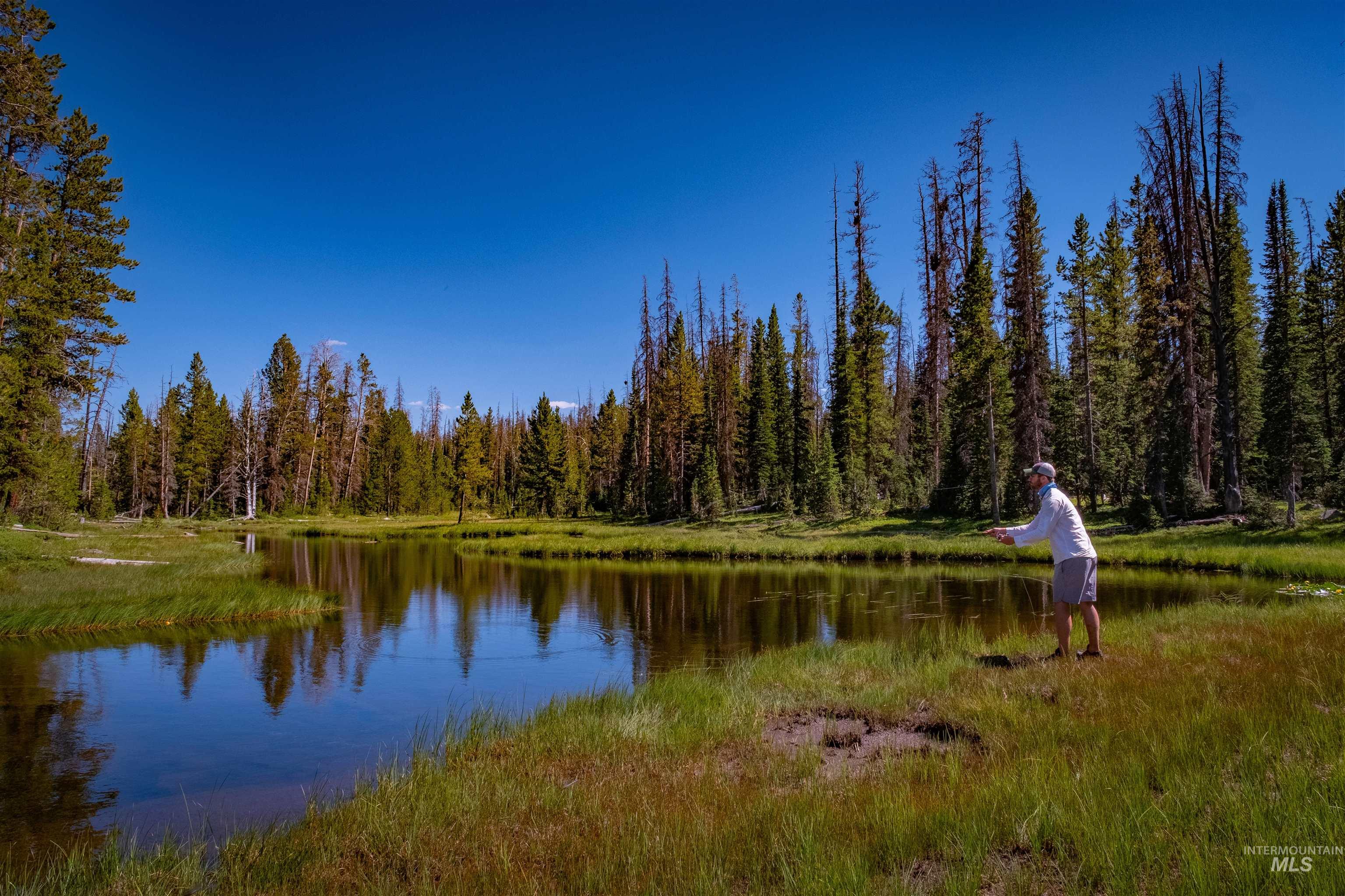 3600 W Red Rock Pass Rd, Island Park, Idaho 83429, Land For Sale, Price $9,750,000, 98979957