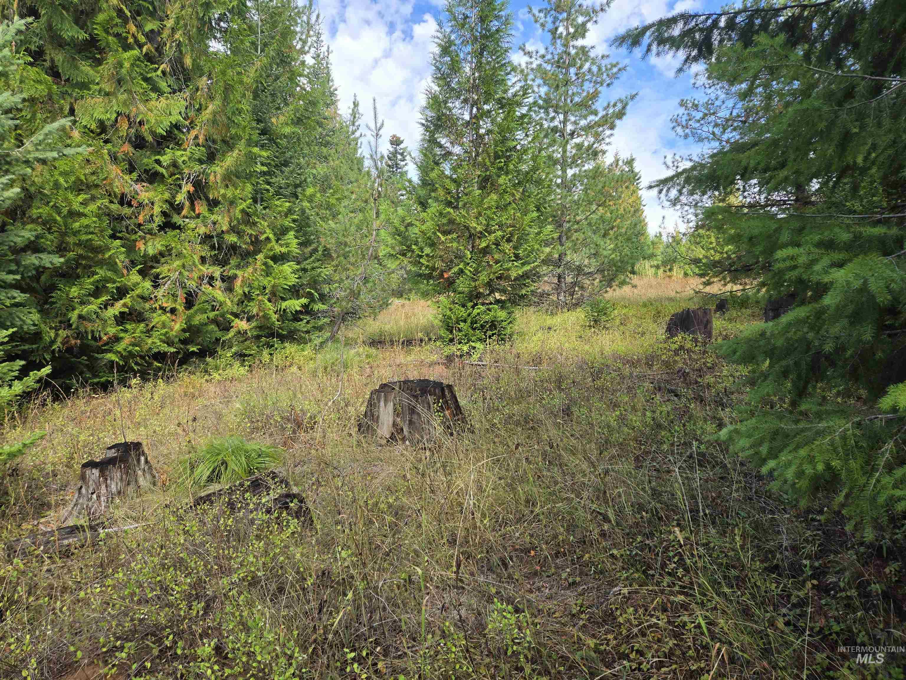 TBD #7 Hjalmar Johnson Road, Weippe, Idaho 83553, Land For Sale, Price $100,000,MLS 98979966