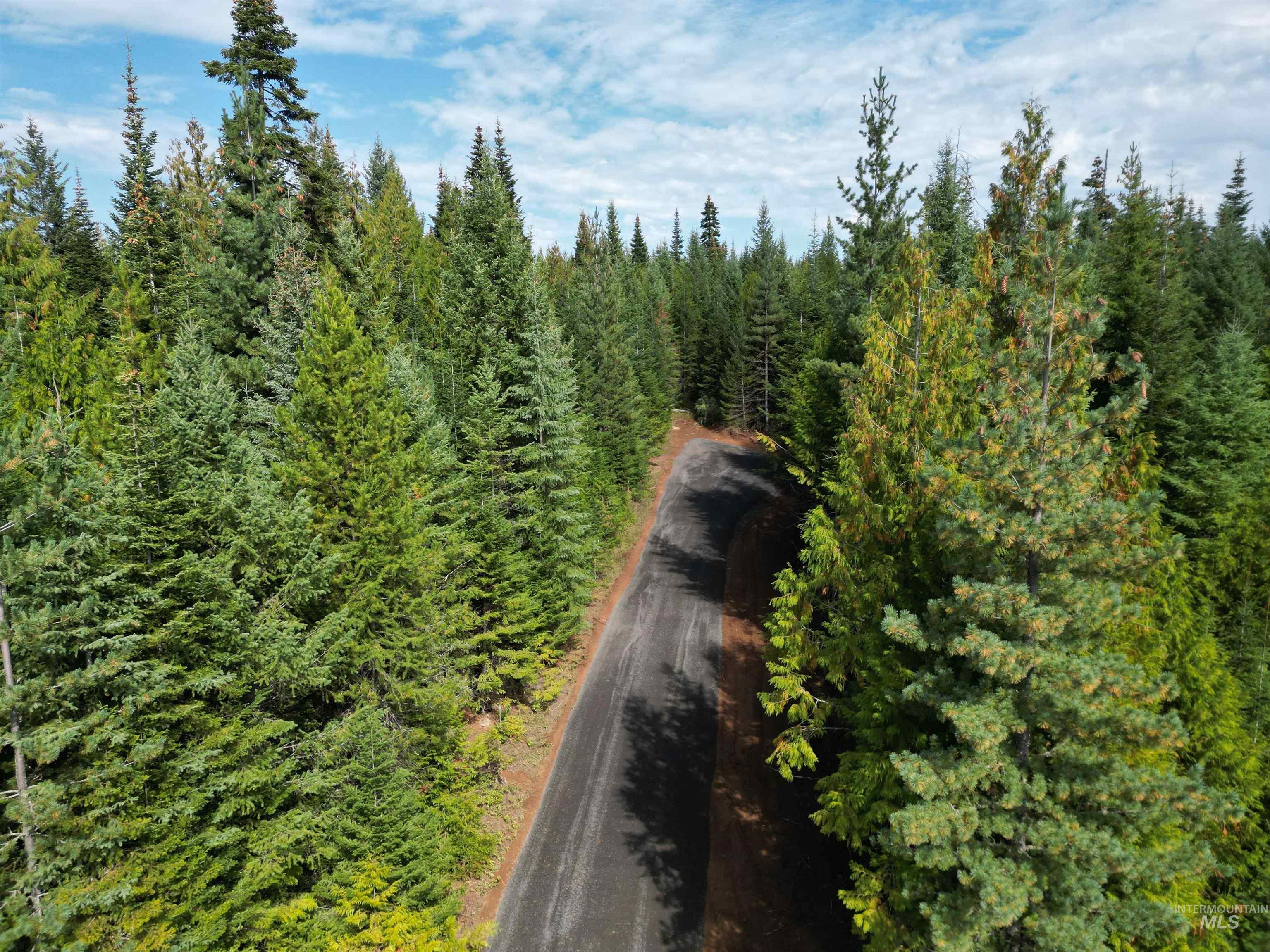 TBD #7 Hjalmar Johnson Road, Weippe, Idaho 83553, Land For Sale, Price $100,000,MLS 98979966