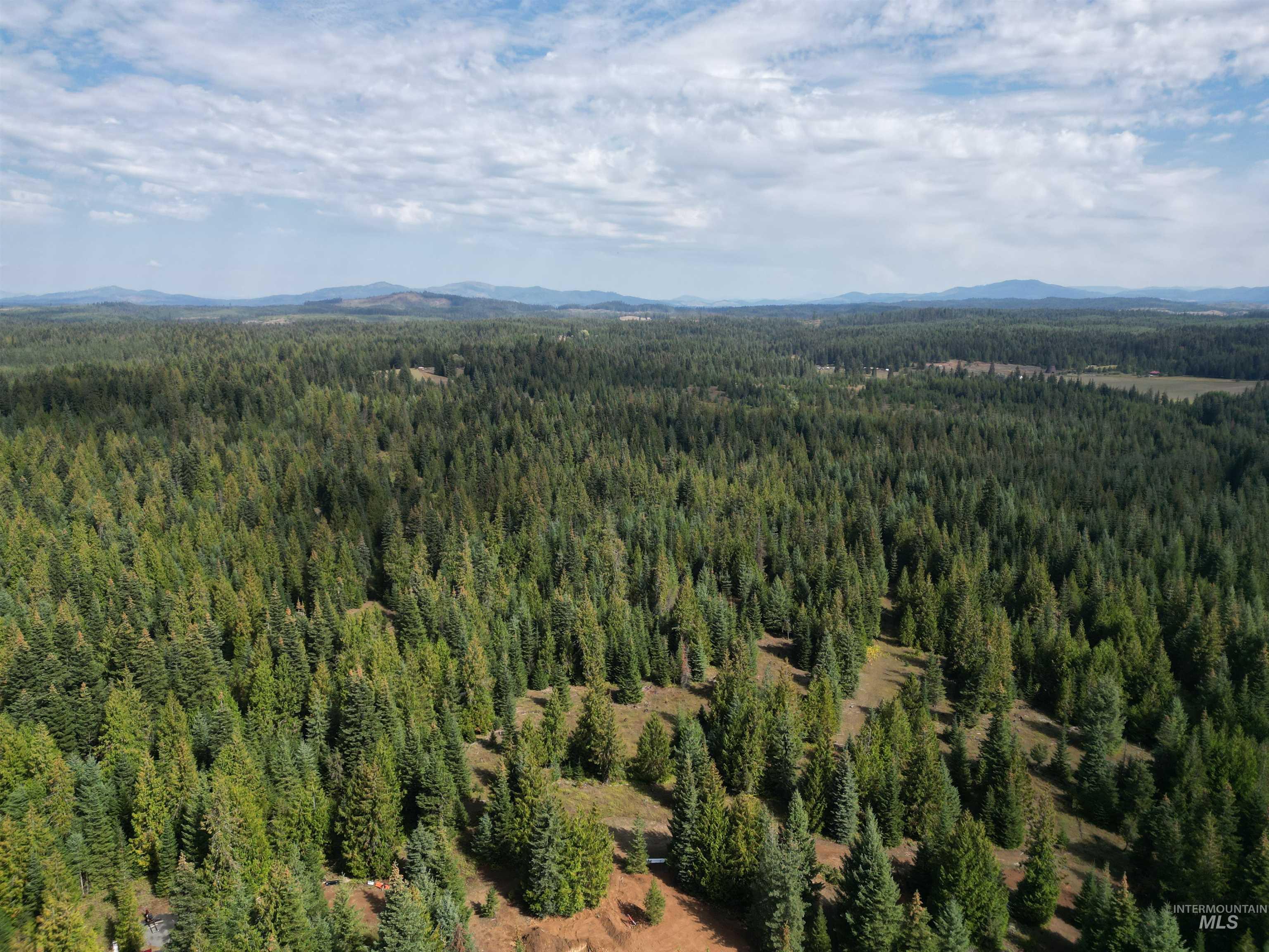 TBD #7 Hjalmar Johnson Road, Weippe, Idaho 83553, Land For Sale, Price $100,000,MLS 98979966