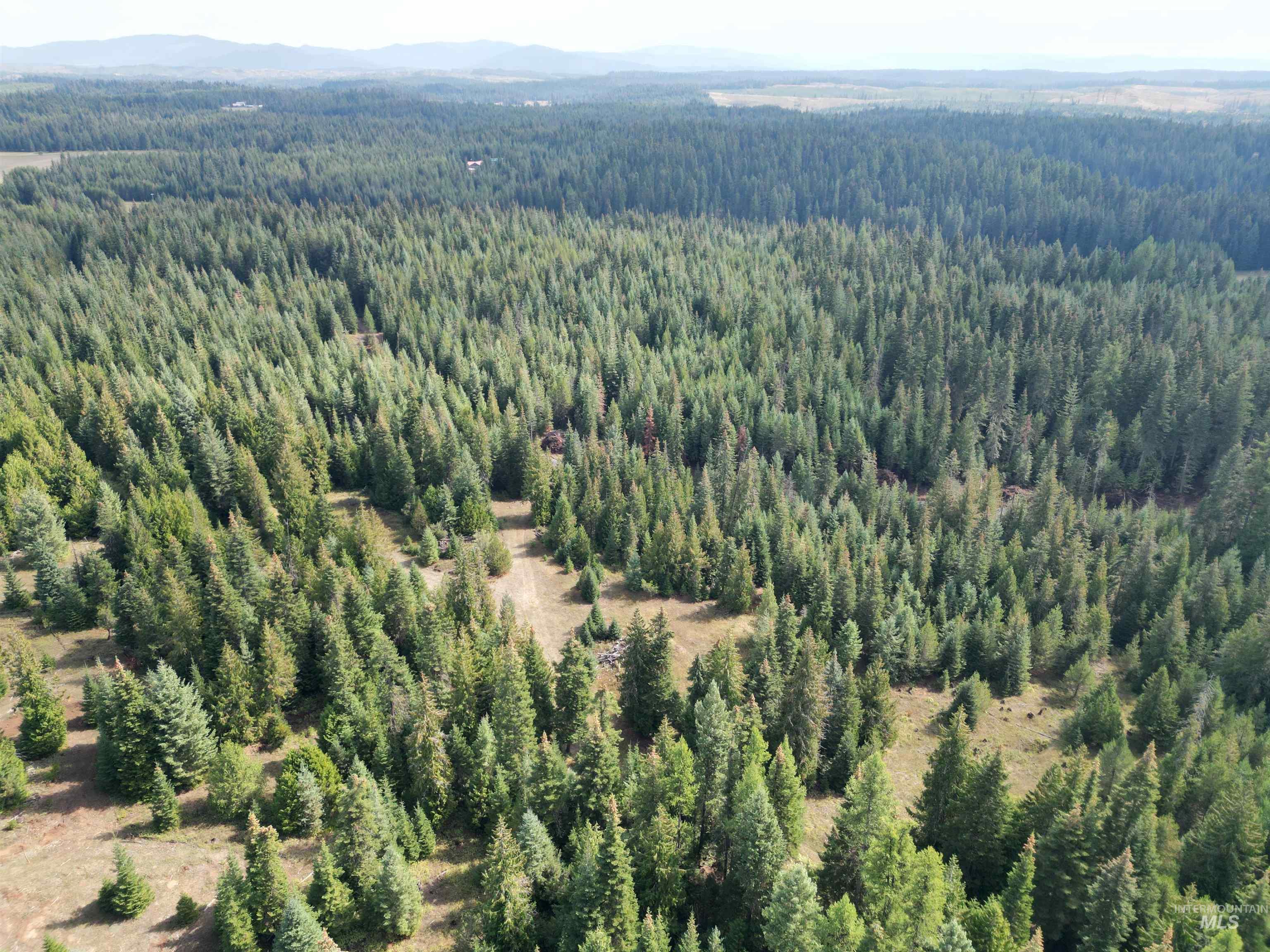 TBD #7 Hjalmar Johnson Road, Weippe, Idaho 83553, Land For Sale, Price $100,000,MLS 98979966