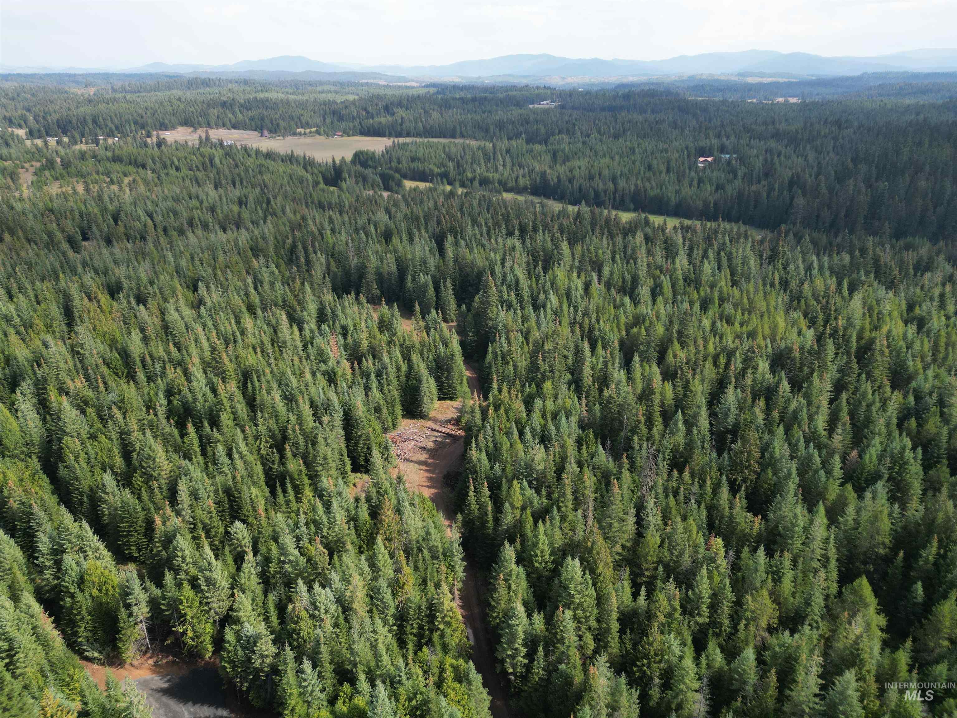 TBD #7 Hjalmar Johnson Road, Weippe, Idaho 83553, Land For Sale, Price $100,000,MLS 98979966