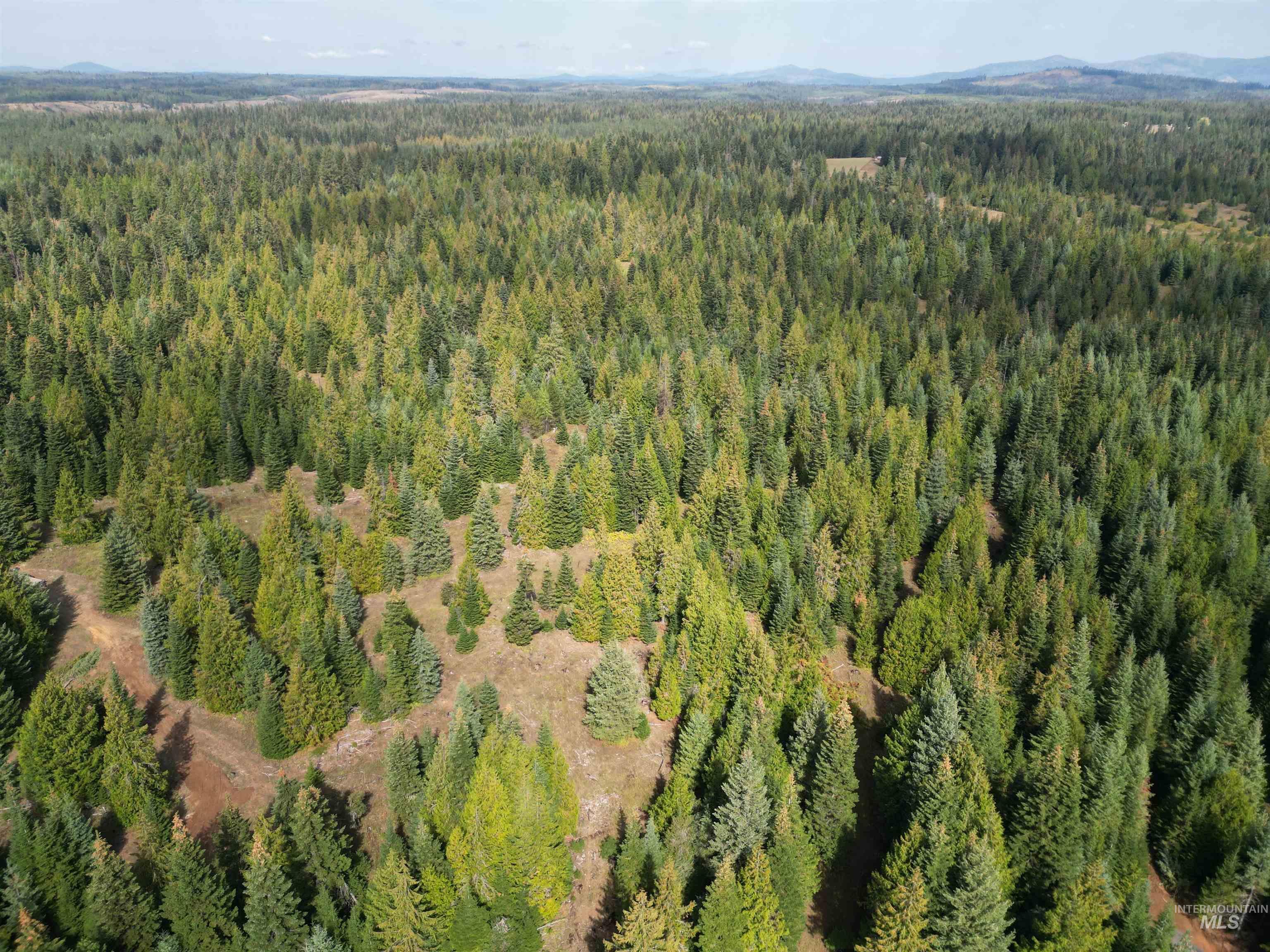 TBD #7 Hjalmar Johnson Road, Weippe, Idaho 83553, Land For Sale, Price $100,000,MLS 98979966