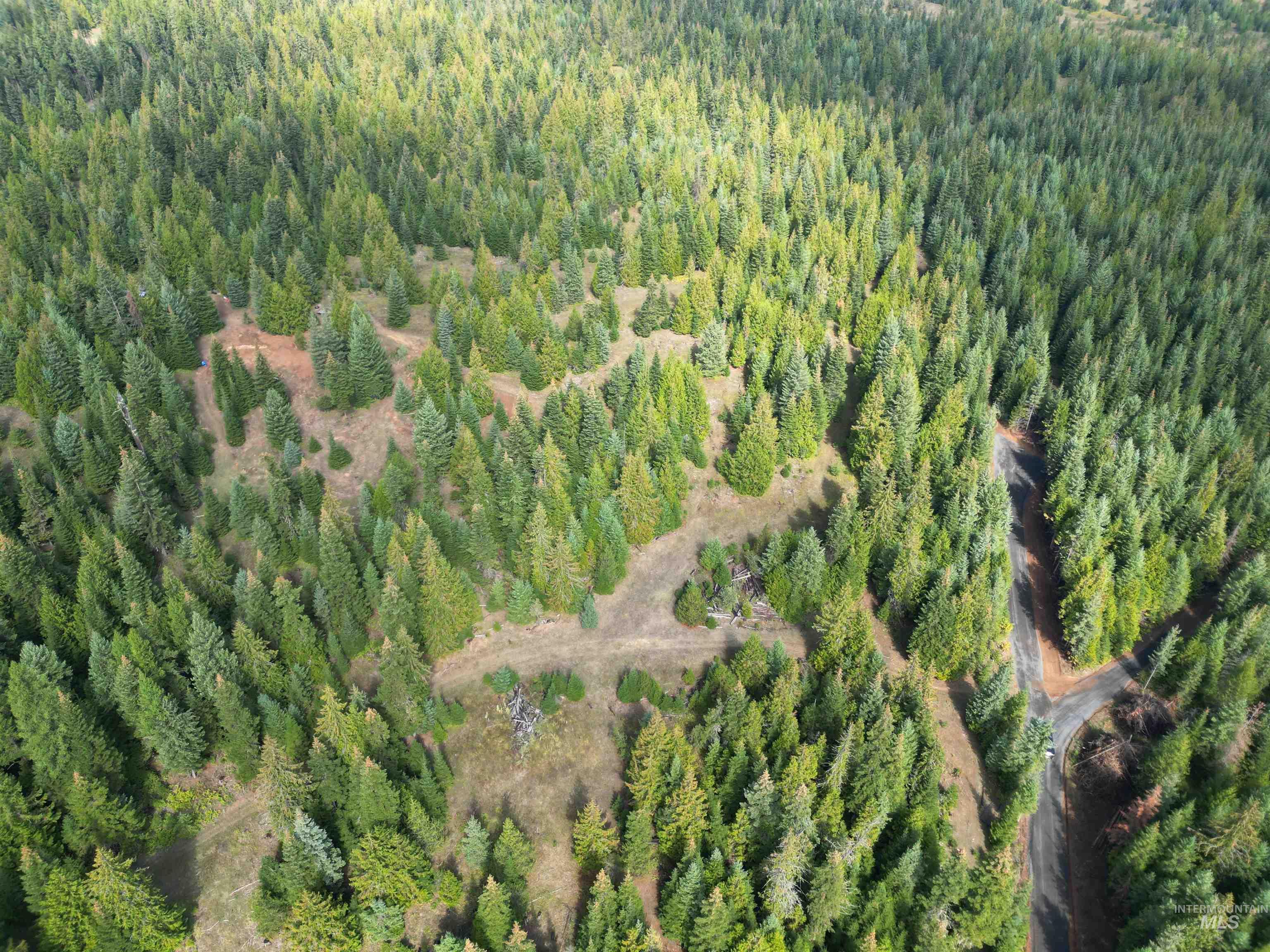 TBD #7 Hjalmar Johnson Road, Weippe, Idaho 83553, Land For Sale, Price $100,000,MLS 98979966