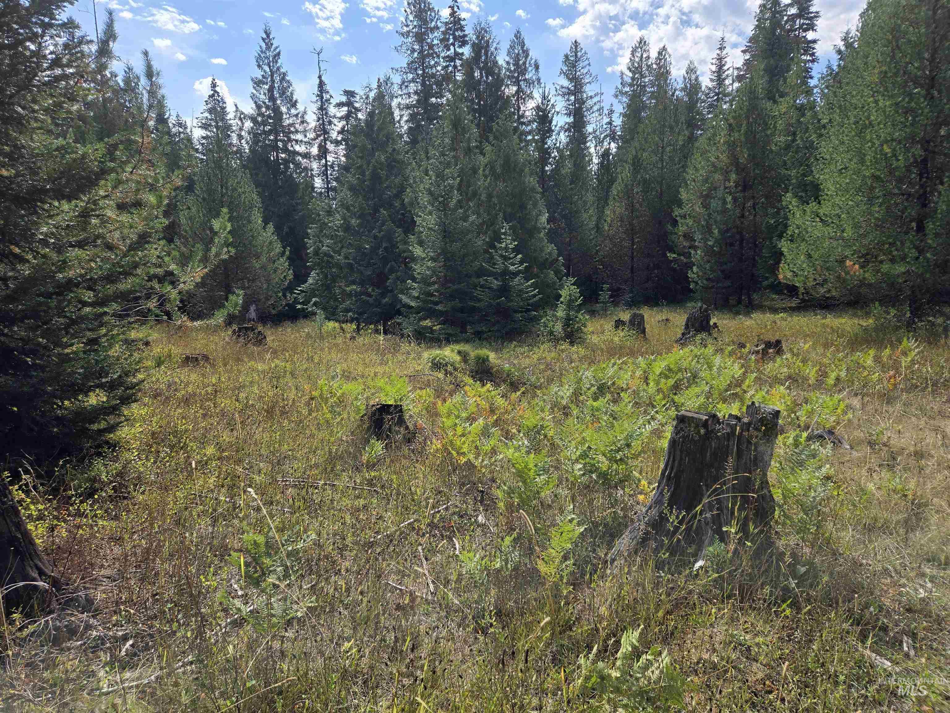 TBD #7 Hjalmar Johnson Road, Weippe, Idaho 83553, Land For Sale, Price $100,000,MLS 98979966