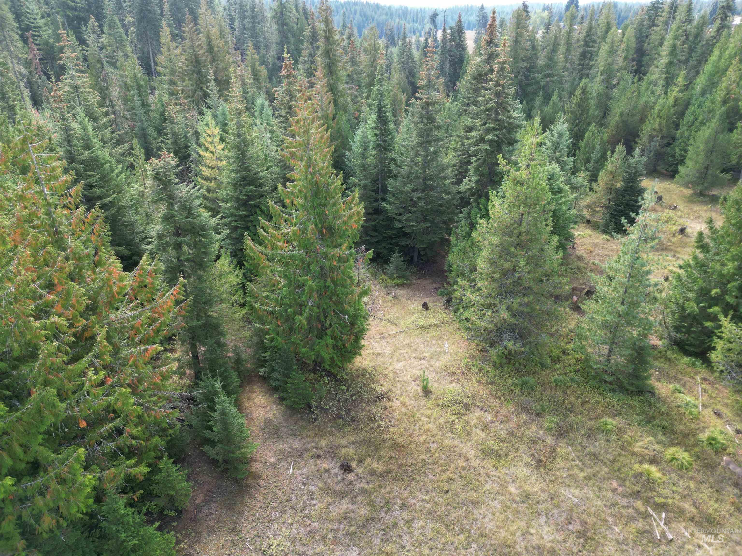 TBD #7 Hjalmar Johnson Road, Weippe, Idaho 83553, Land For Sale, Price $100,000,MLS 98979966