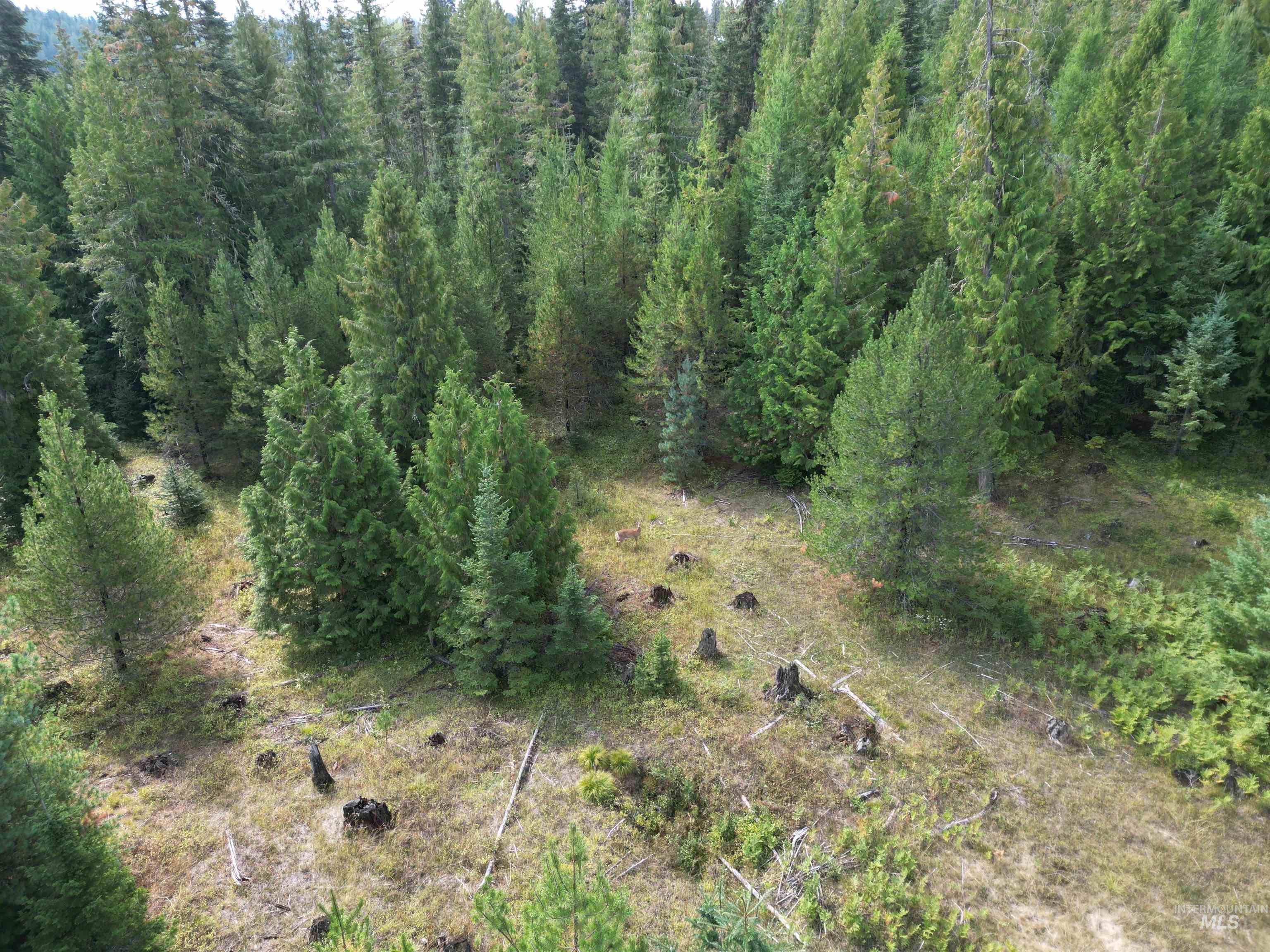 TBD #7 Hjalmar Johnson Road, Weippe, Idaho 83553, Land For Sale, Price $100,000,MLS 98979966