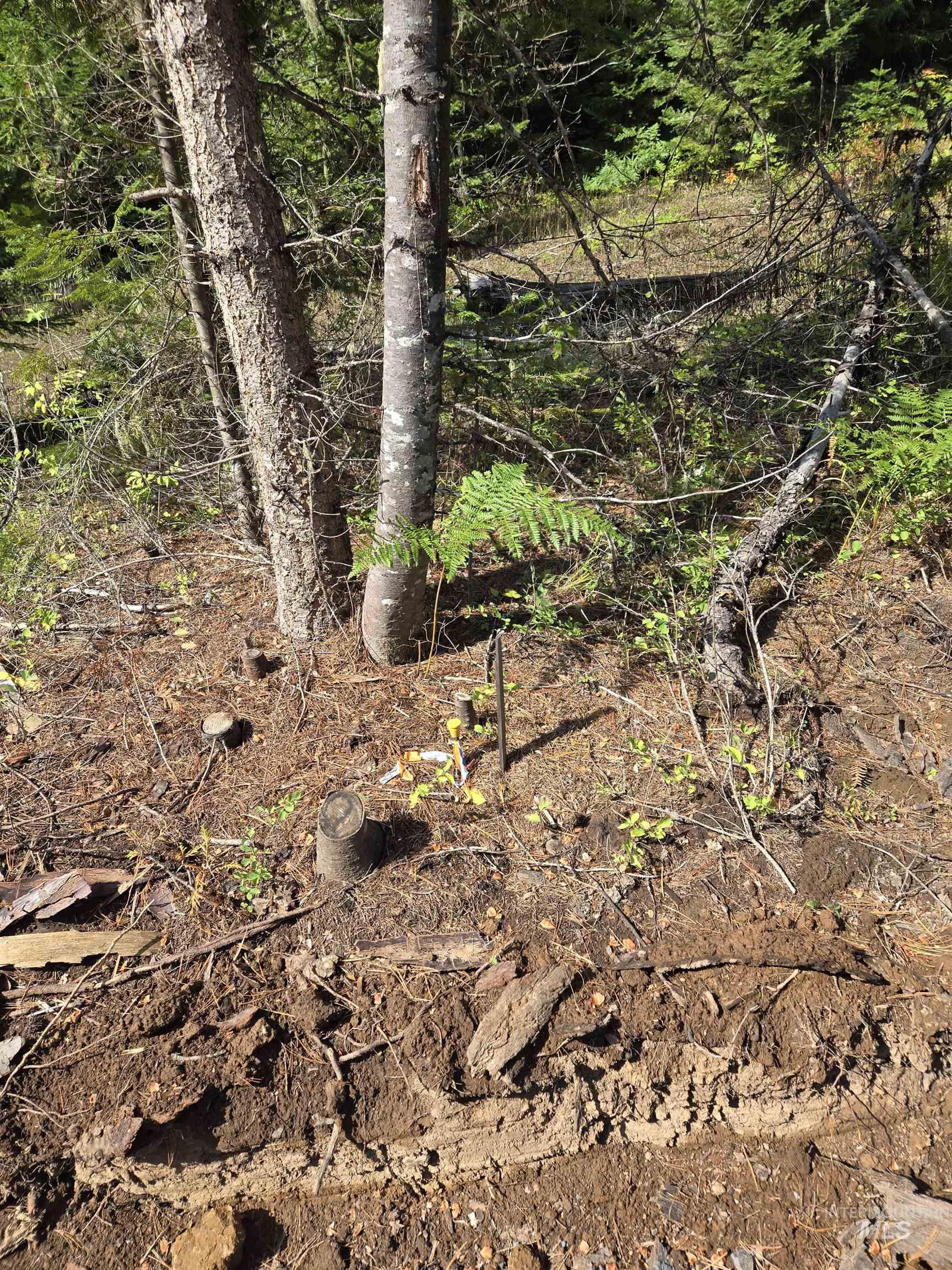 TBD #7 Hjalmar Johnson Road, Weippe, Idaho 83553, Land For Sale, Price $100,000,MLS 98979966