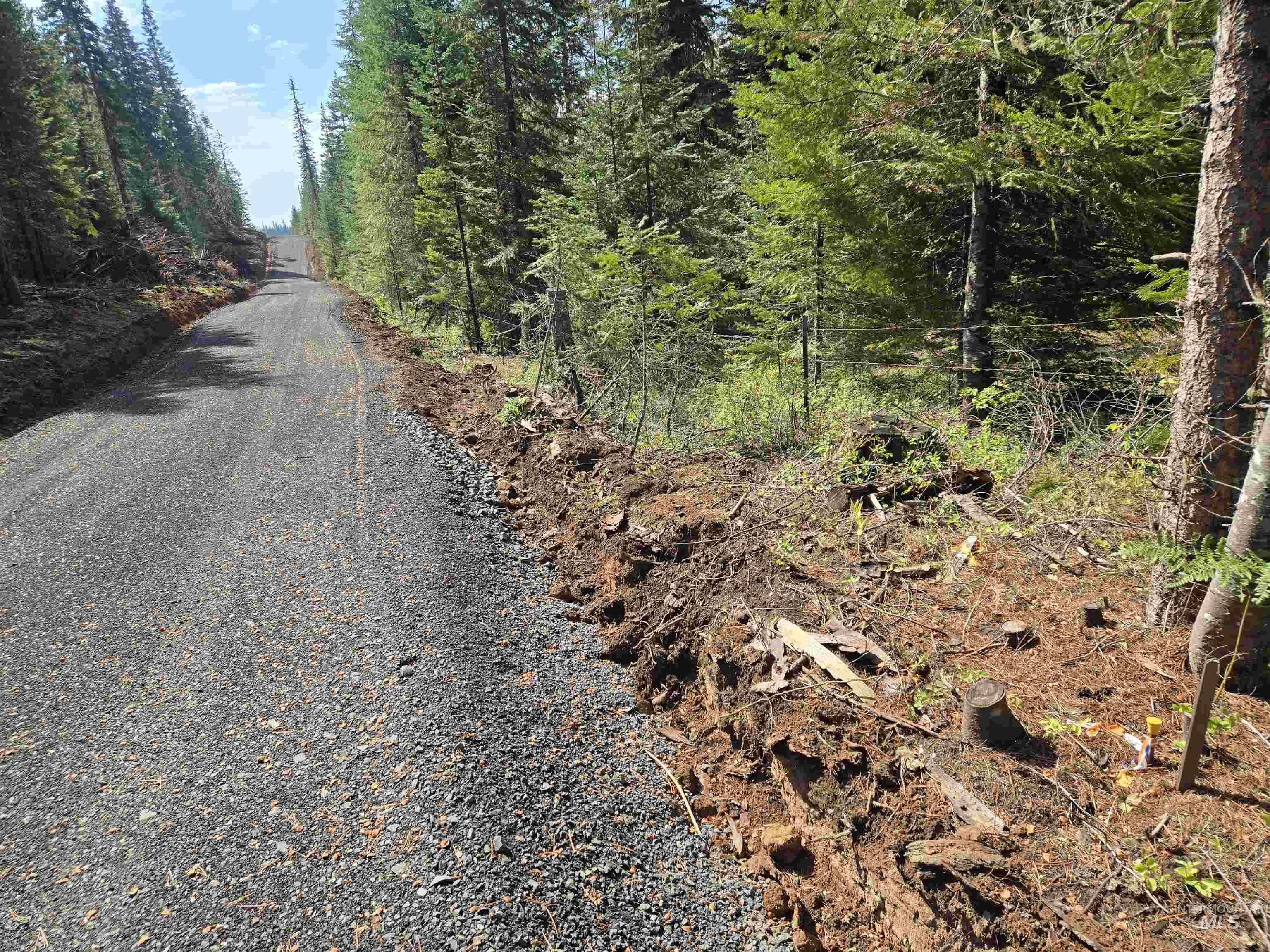 TBD #7 Hjalmar Johnson Road, Weippe, Idaho 83553, Land For Sale, Price $100,000,MLS 98979966