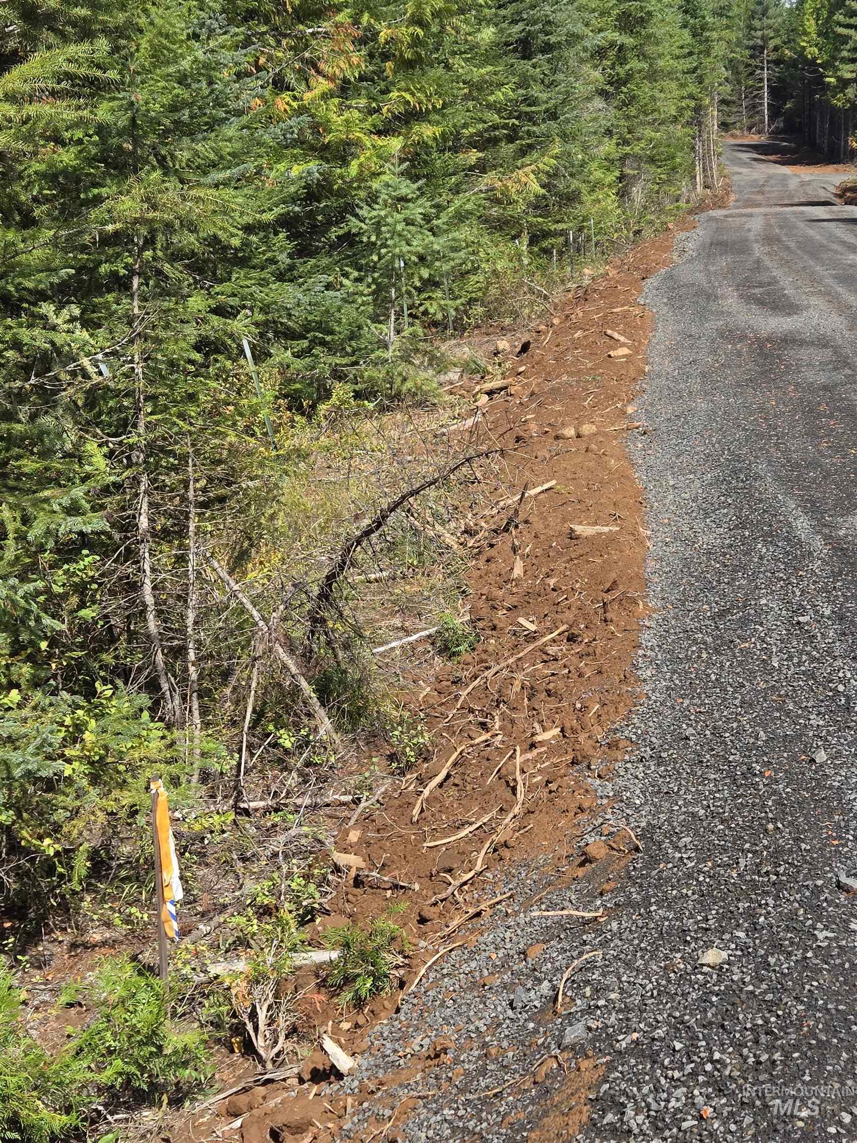 TBD #7 Hjalmar Johnson Road, Weippe, Idaho 83553, Land For Sale, Price $100,000,MLS 98979966