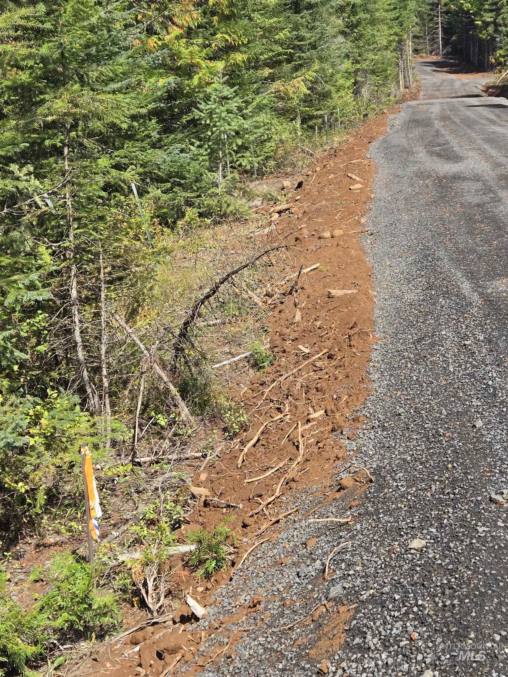 TBD #7 Hjalmar Johnson Road, Weippe, Idaho 83553, Land For Sale, Price $100,000,MLS 98979966